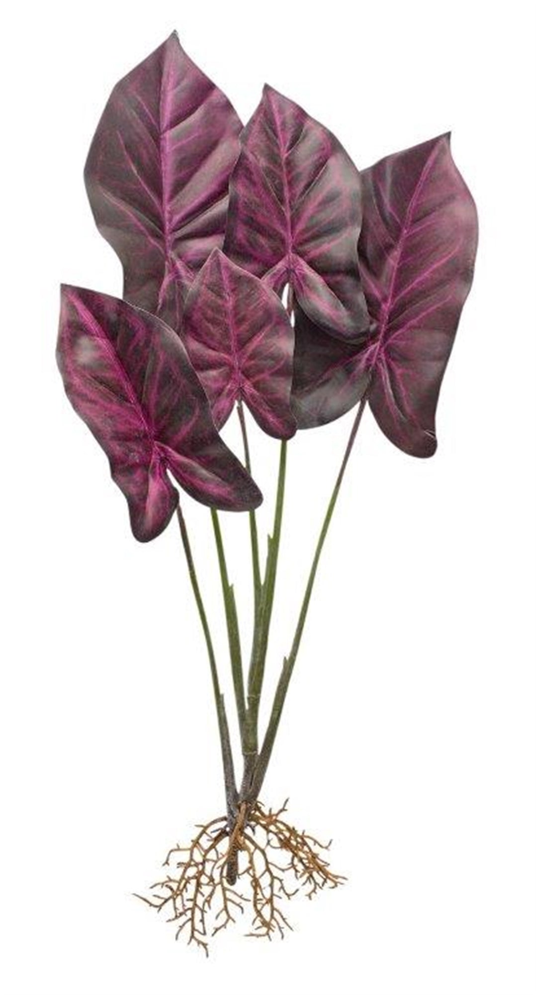 Caladium Plant 22.25"H Polyester