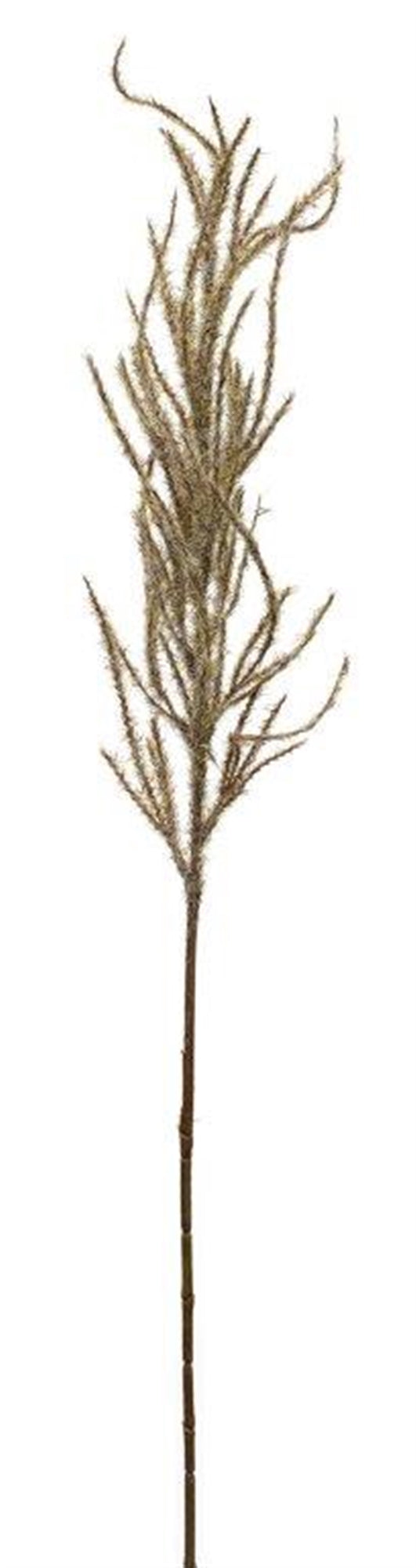 Flocked Pampas Spray 31"H