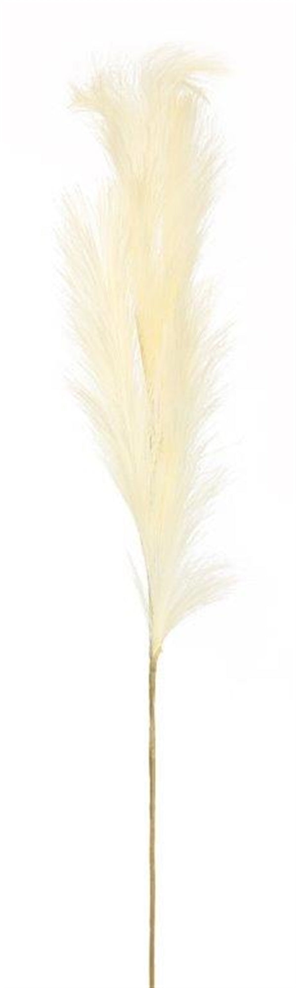 Pampas Spray 47"H Polyester