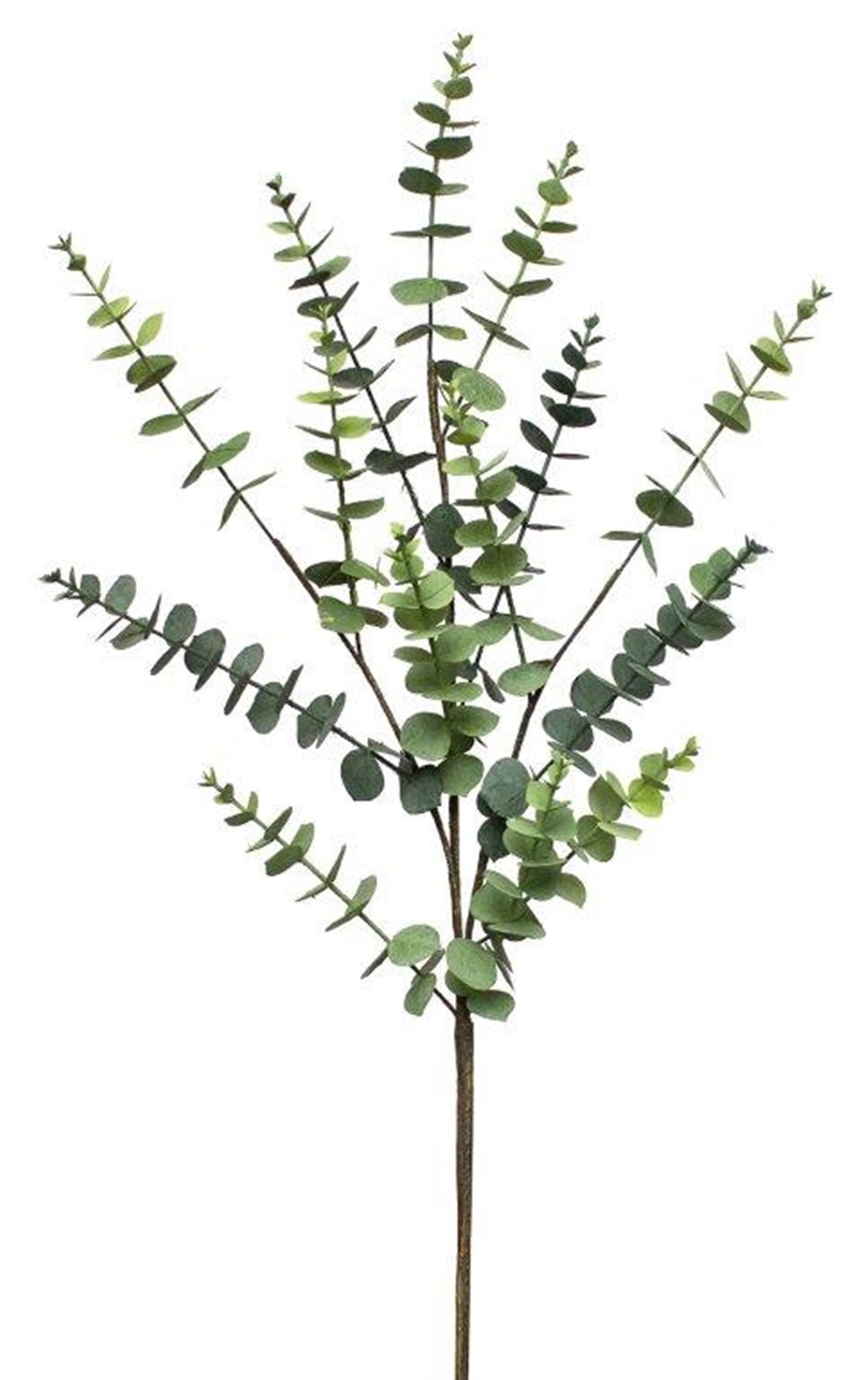 Eucalyptus Leaf Foliage Spray (Set of 4)