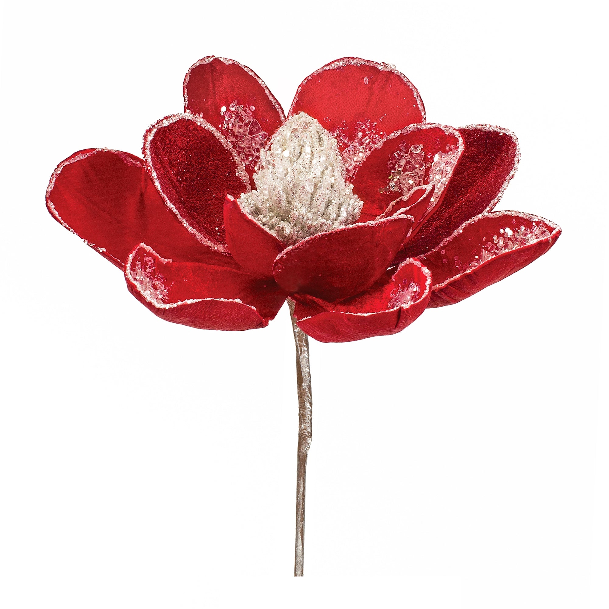 Magnolia Stem 20”H Velvet