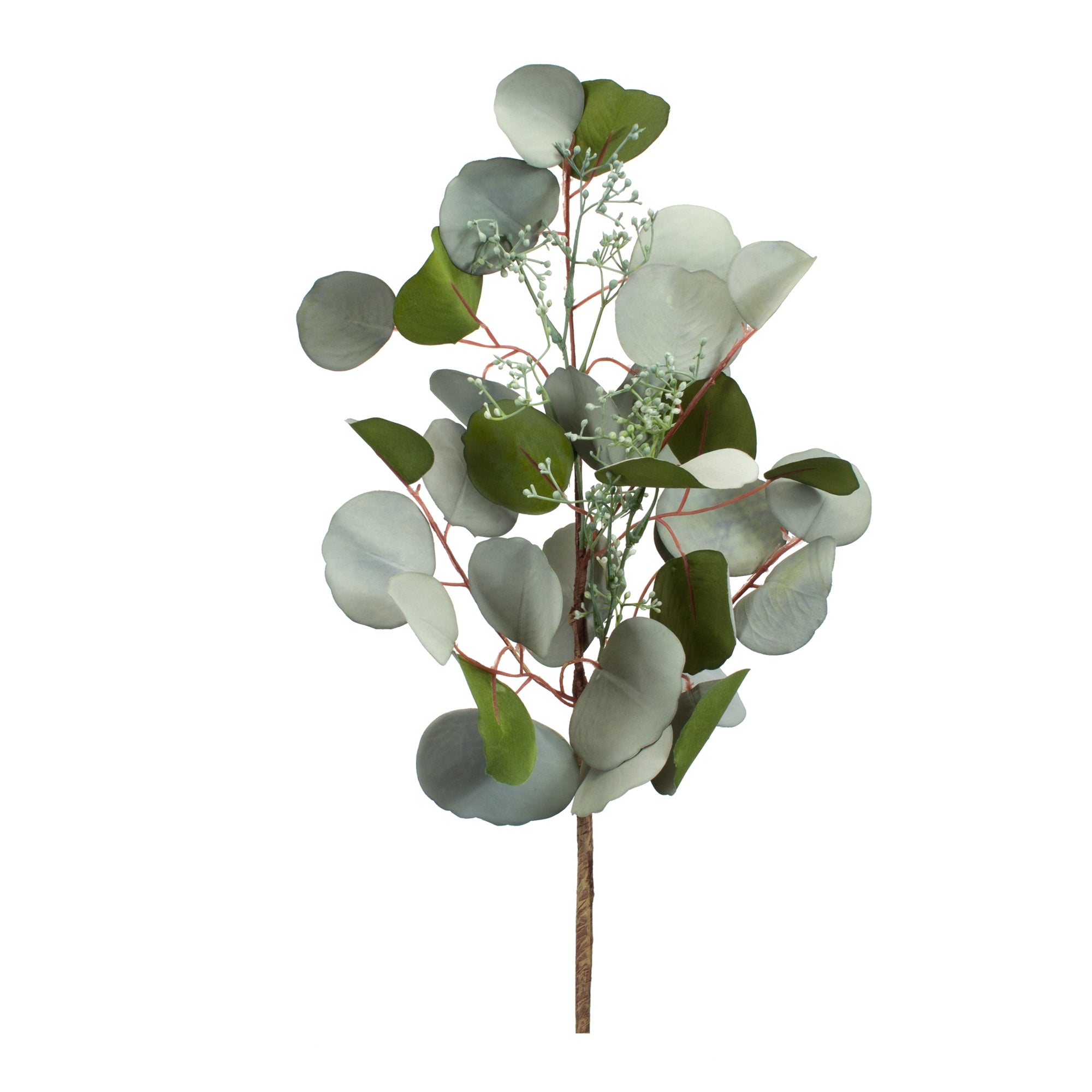 Eucalyptus Spray 29”H Fabric