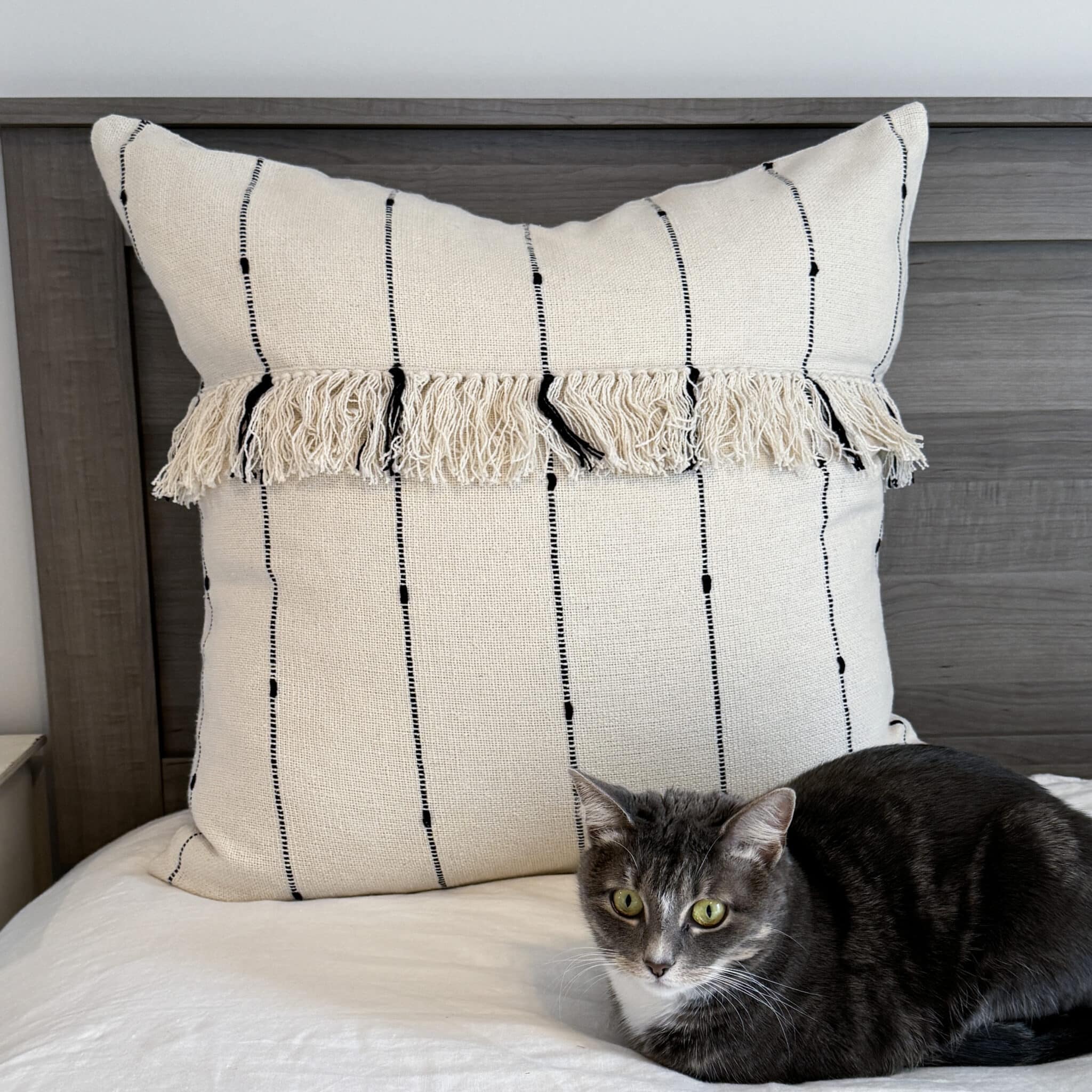 Farmcloth Stripe Fringed Euro Sham 26Lx26W