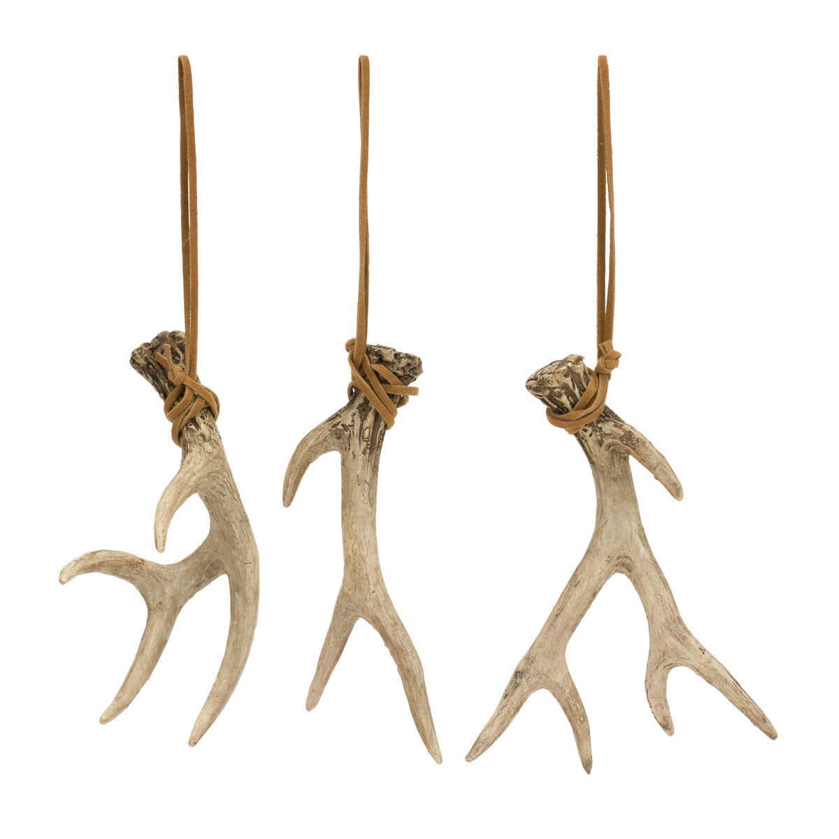 Antler (S/3)