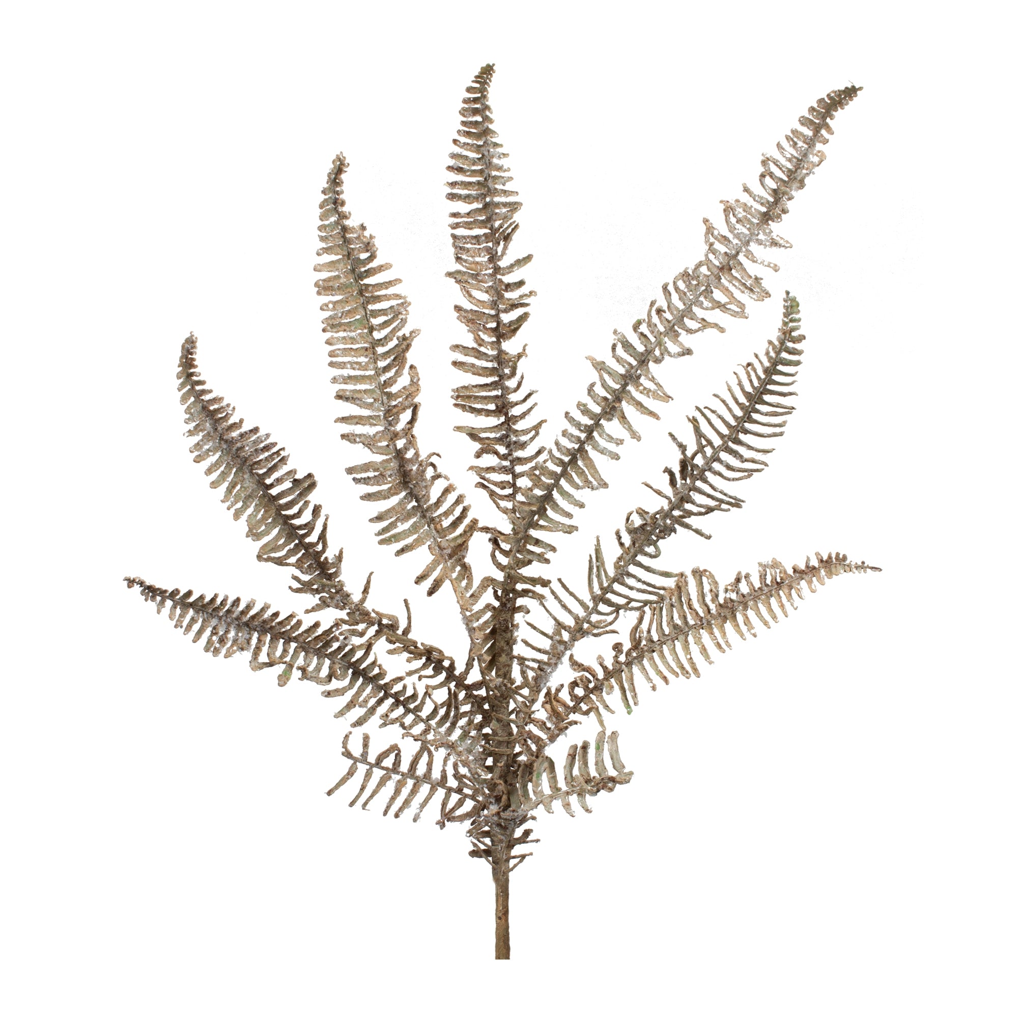 Icy Fern Spray 32”H