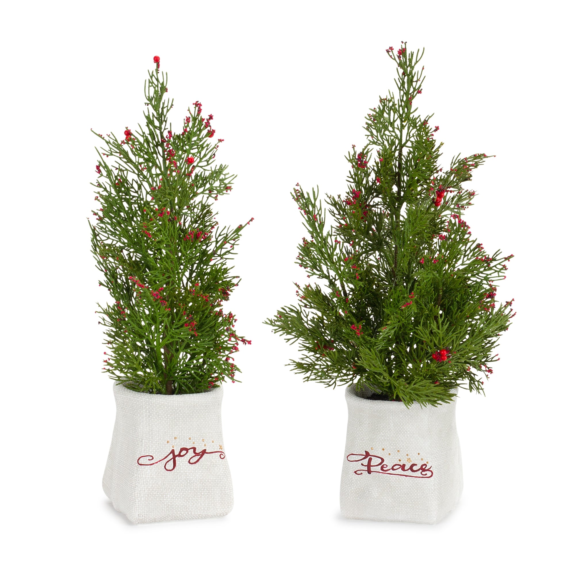 Potted Tree (Set of 2) 14.25"H, 16.5"H