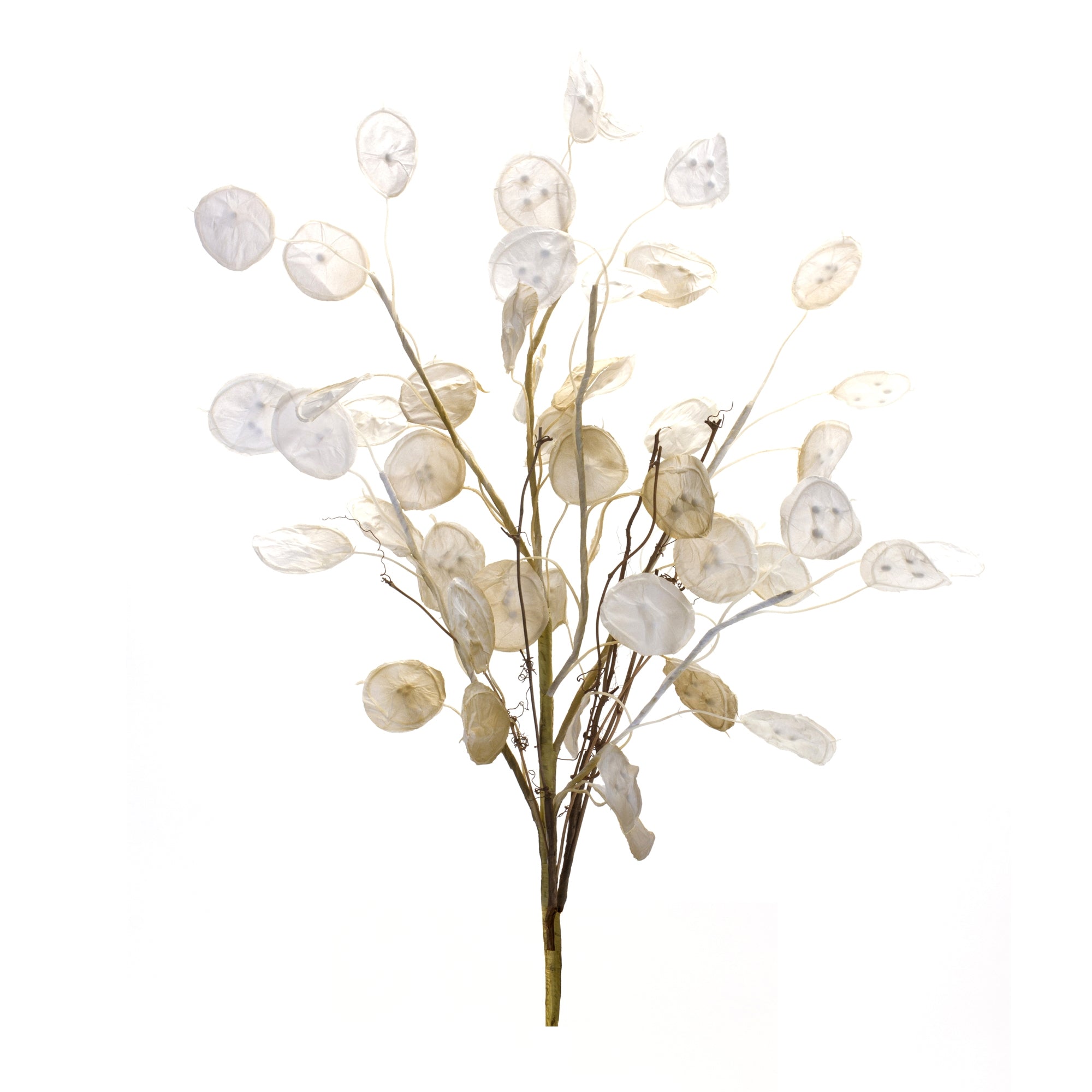 Silver Dollar Spray 31.5”H Fabric