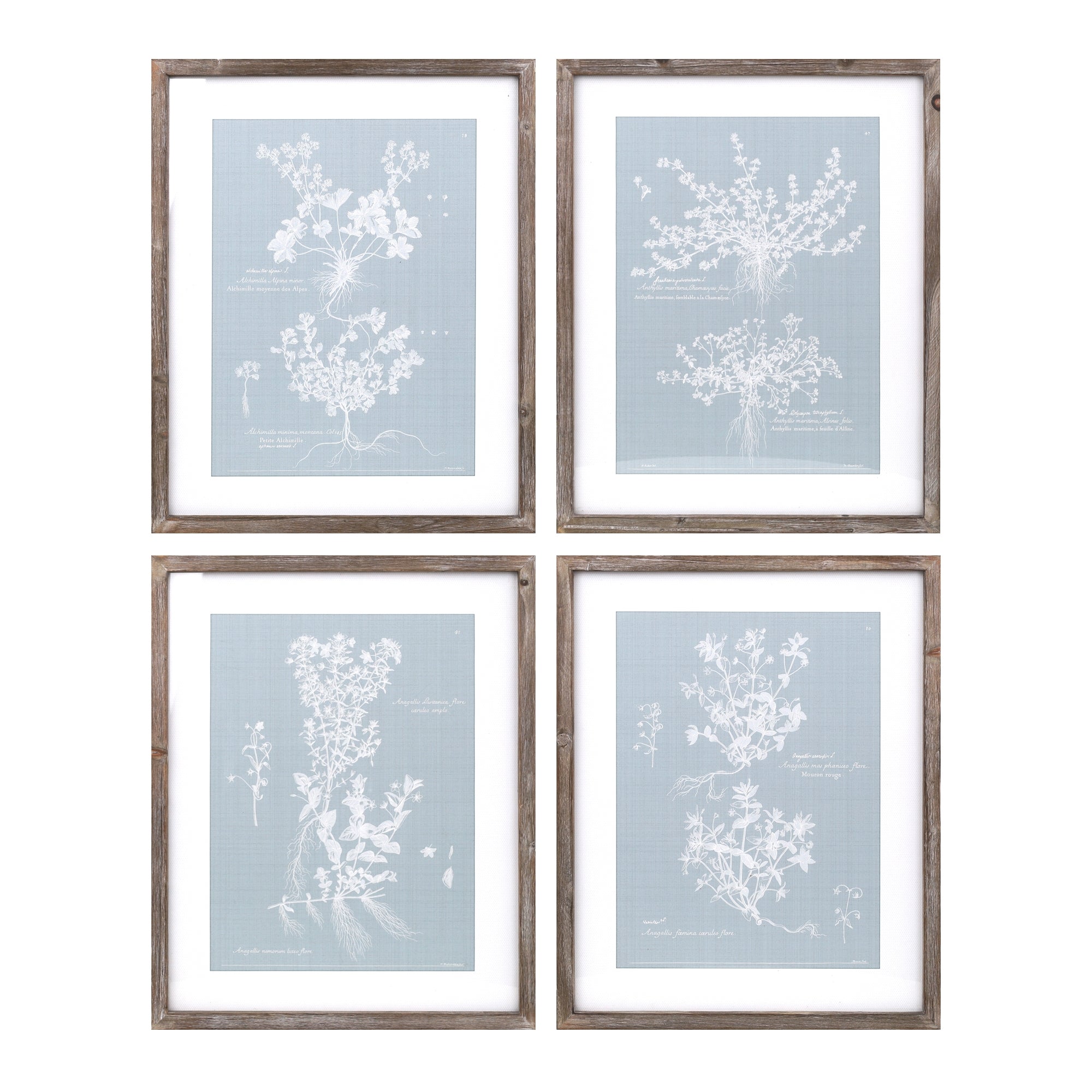 Floral Print (4 Asst) 15.75"L x 19.5"H Wood/Wood/Paper/Glass