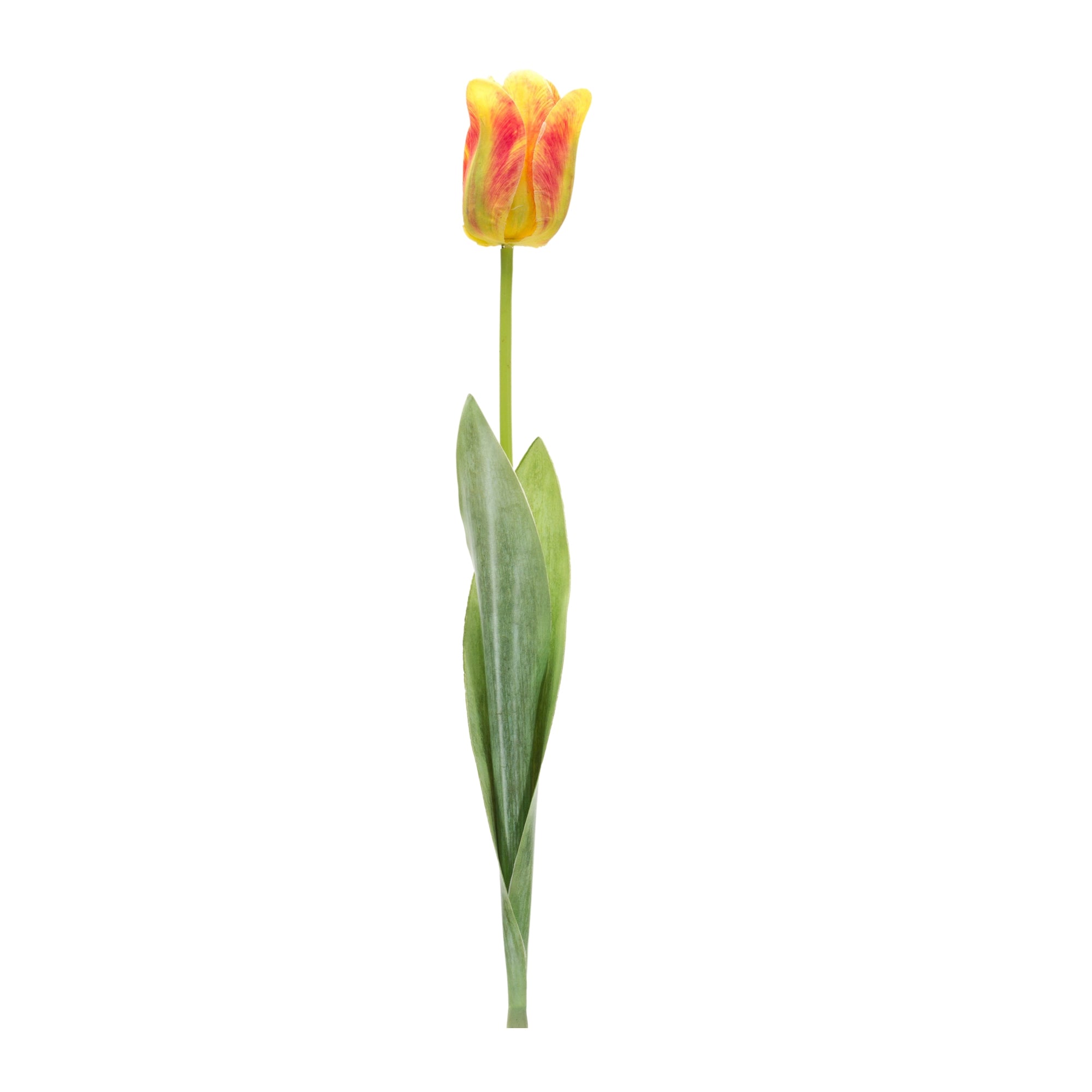 Tulip Stem 27”H Polyester/