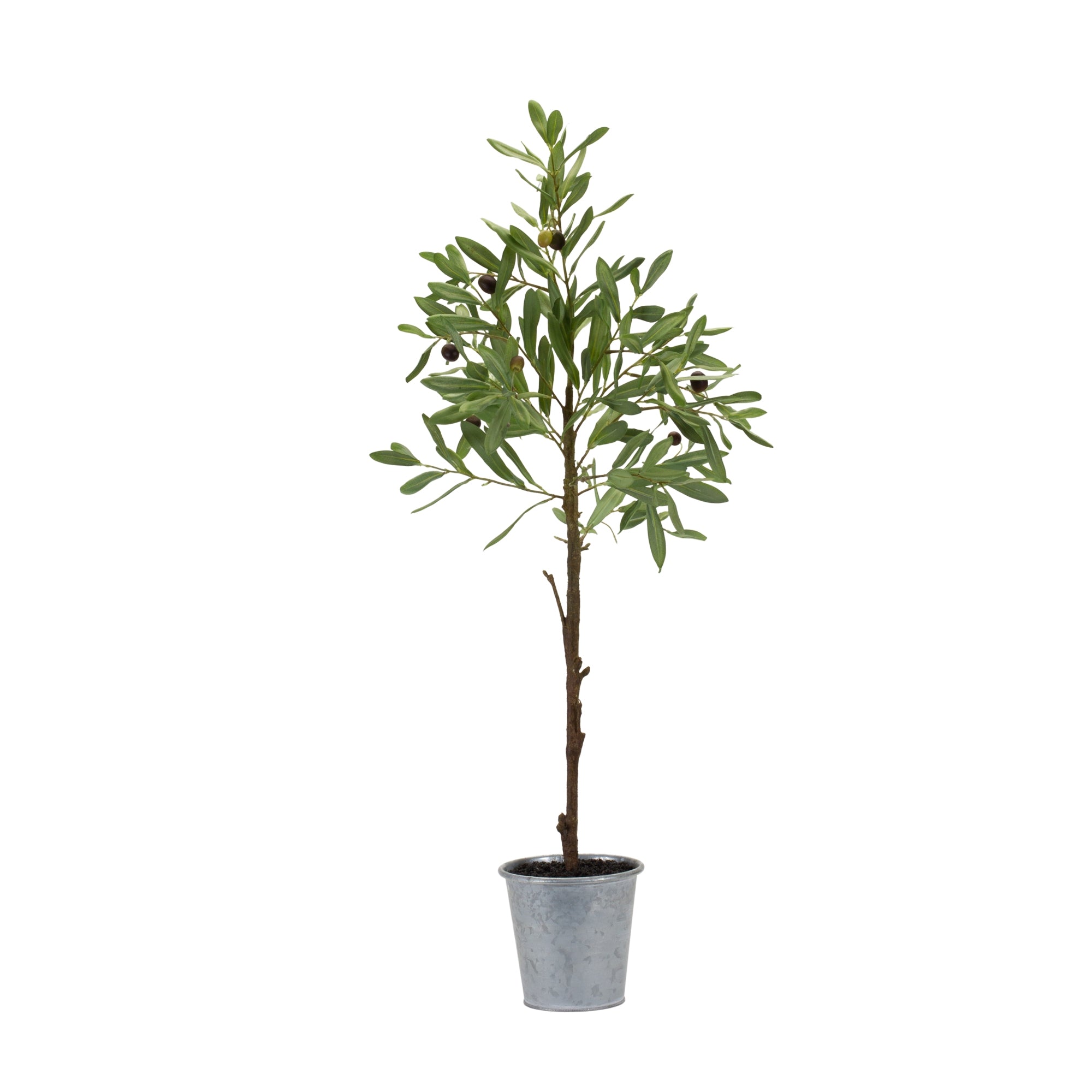 Potted Olive Tree 31.5”H Polyester