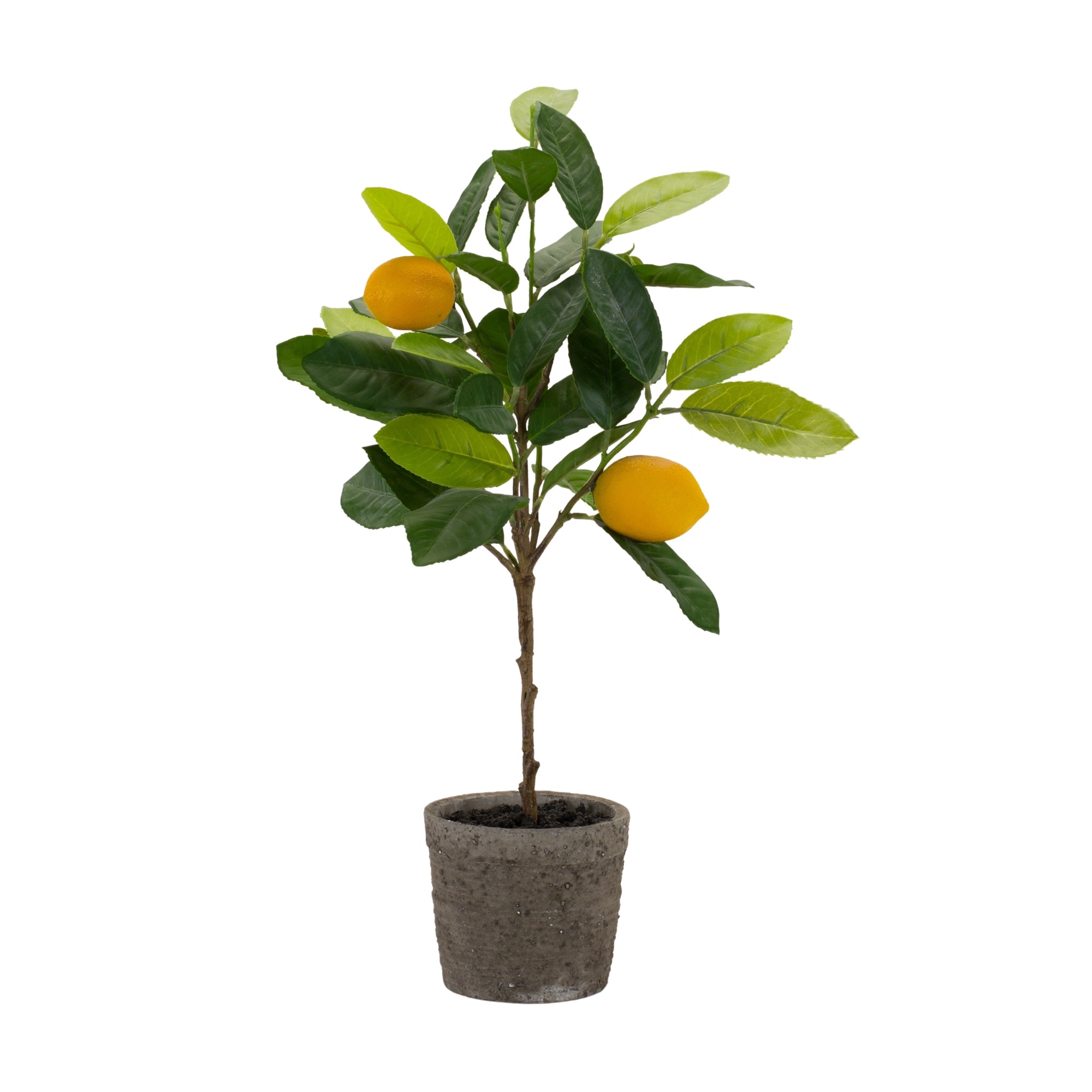 Potted Lemon Tree 19.5”H Polyester