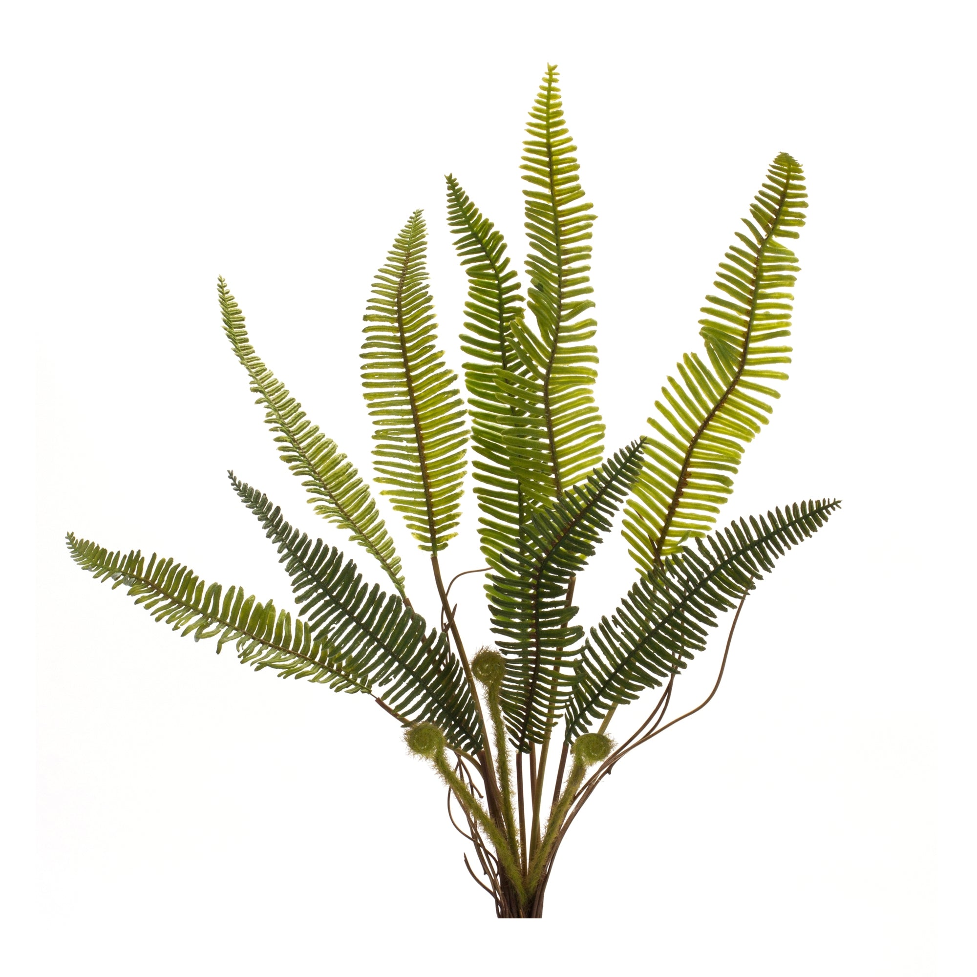 Fern Plant 17.5”H
