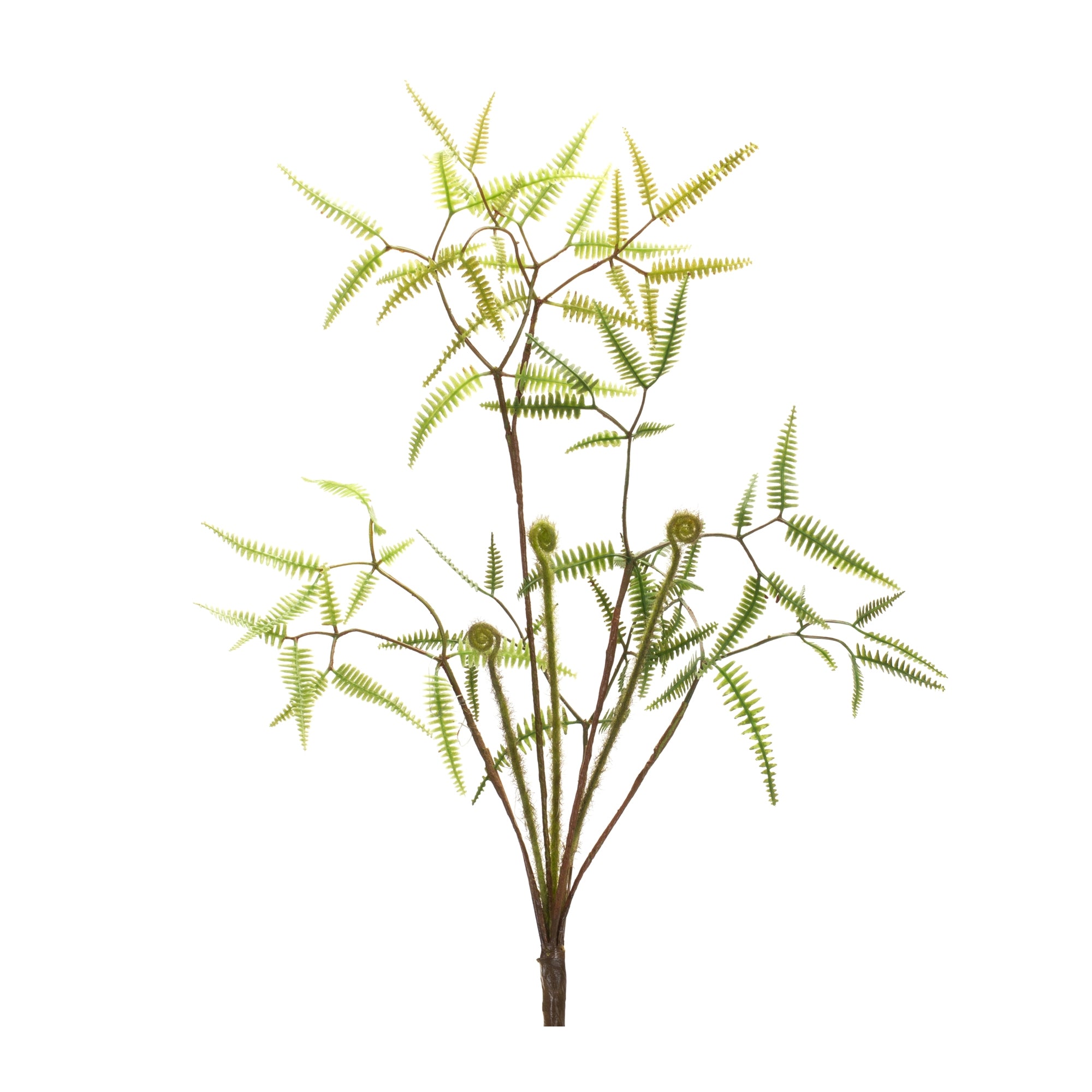 Mini Fern Bush 19”H