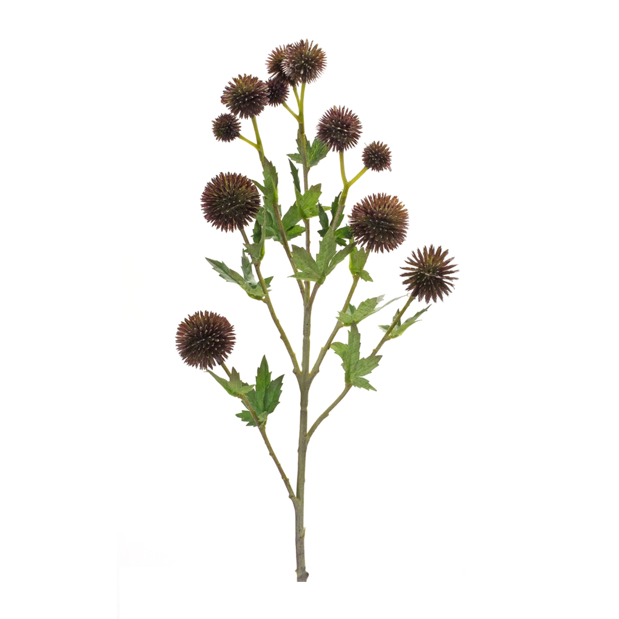 Allium Spray 26”H /Polyester