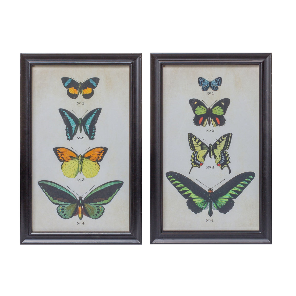 Framed Butterfly Print (S/2)