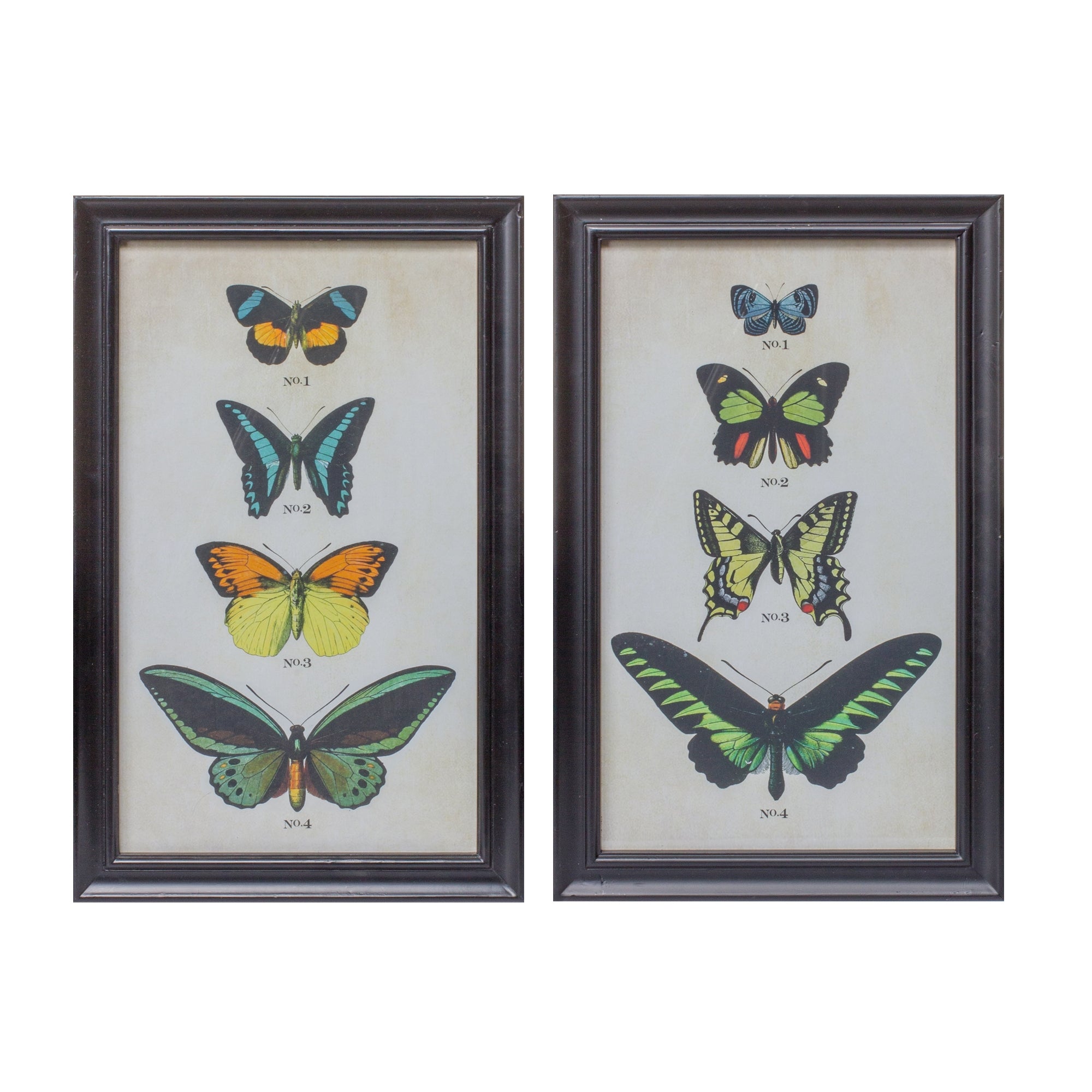 Framed Butterfly Print (2 Asst) 11.25"L x 18.25"H Wood/Glass