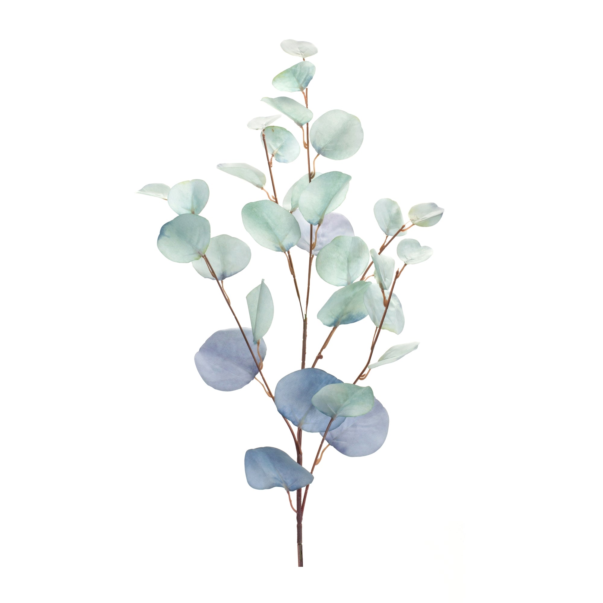 Eucalyptus Spray 34”H Polyester