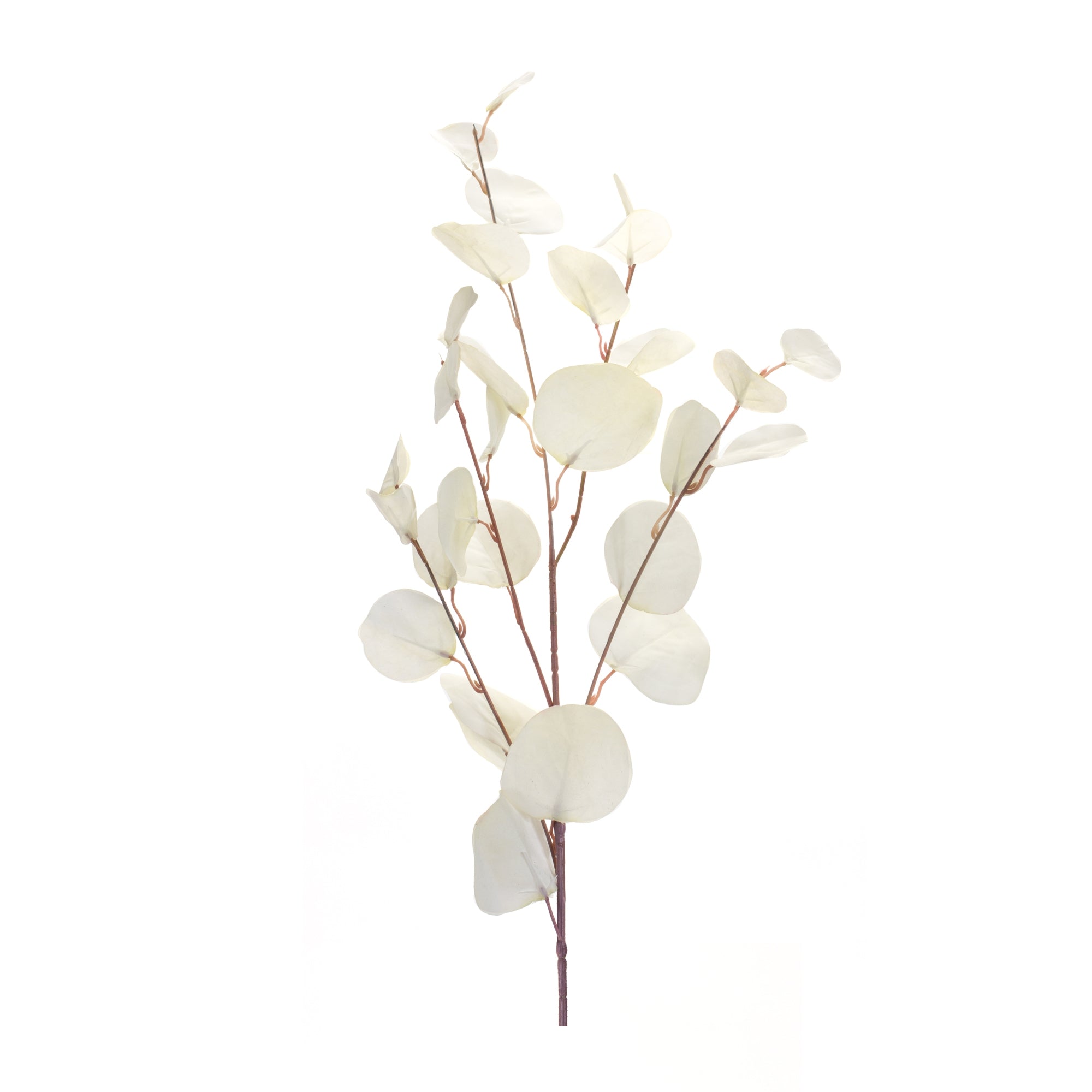 Eucalyptus Spray 34”H Polyester