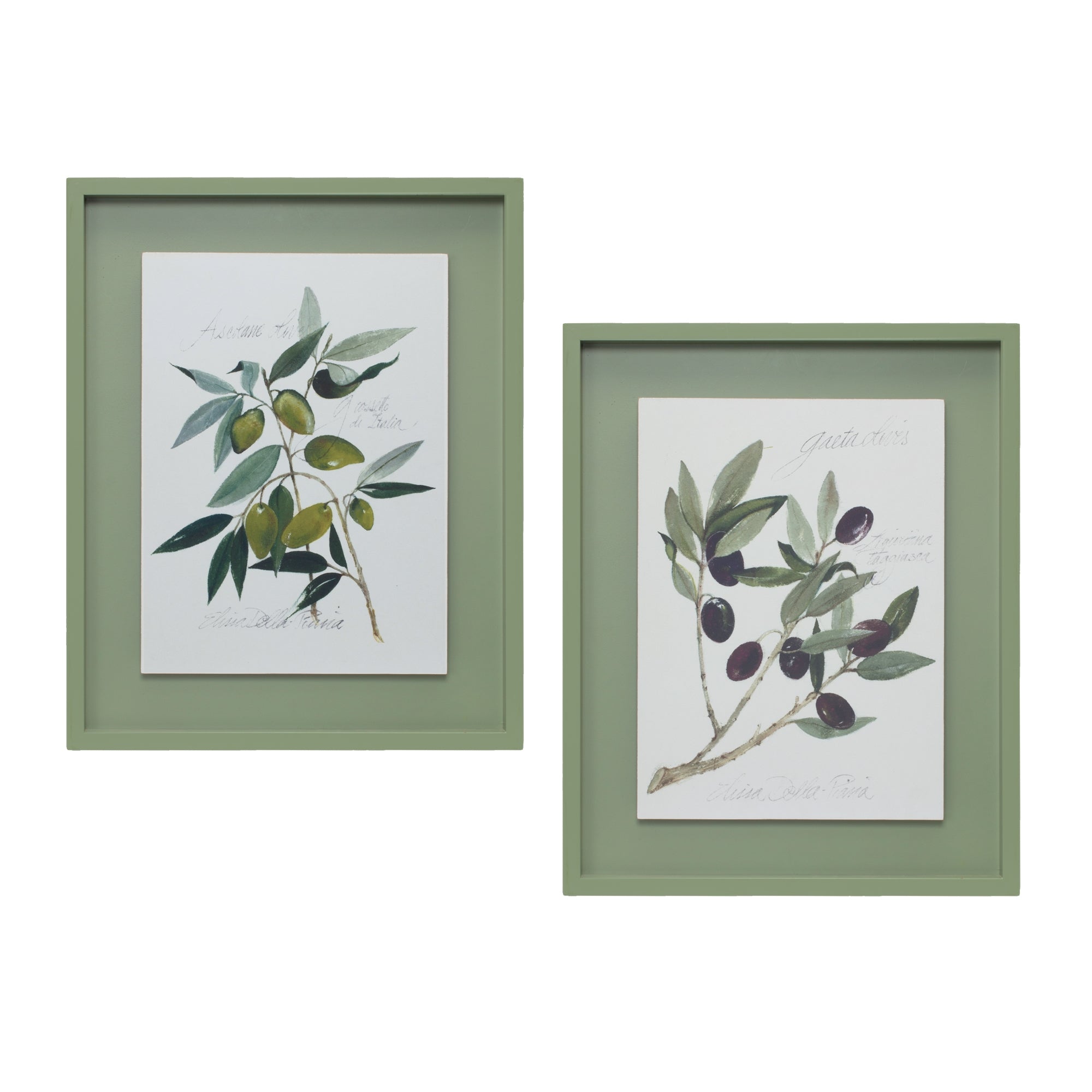 Framed Olive Print (2 Asst) 15.75"L x 19.75"H Wood/Wood
