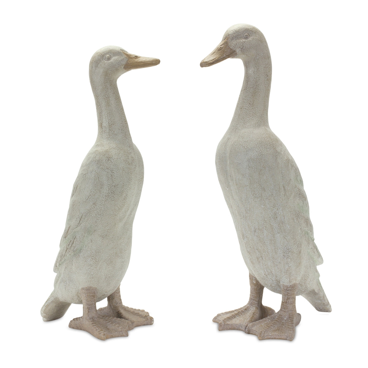 Duck (S/2)