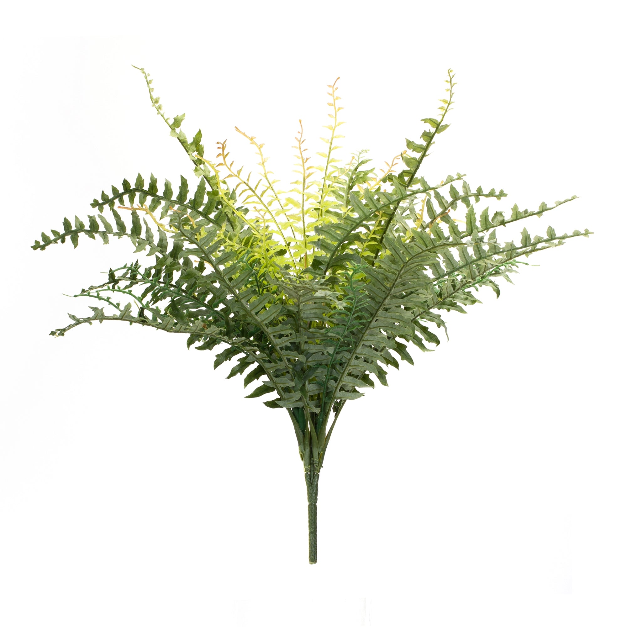 Fern Bush 22.5”H Polyester