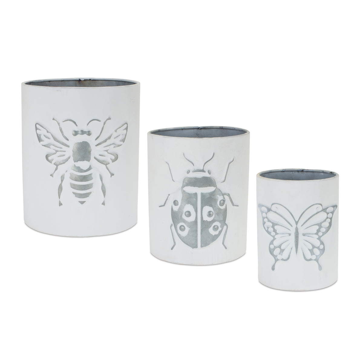 Insect Pot (S/3)