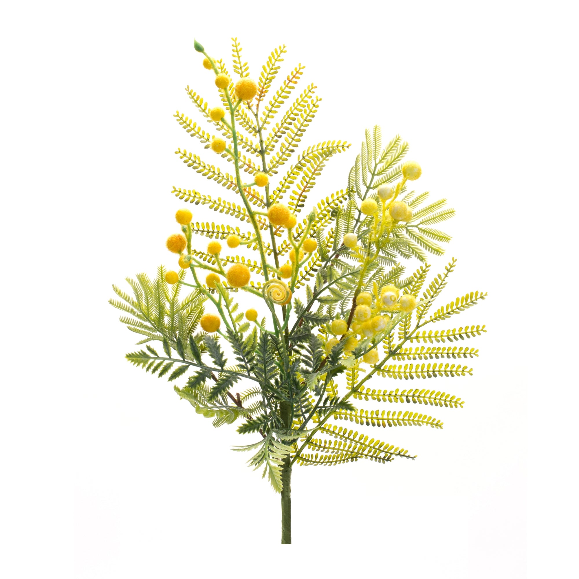 Mimosa Spray 21.5”H