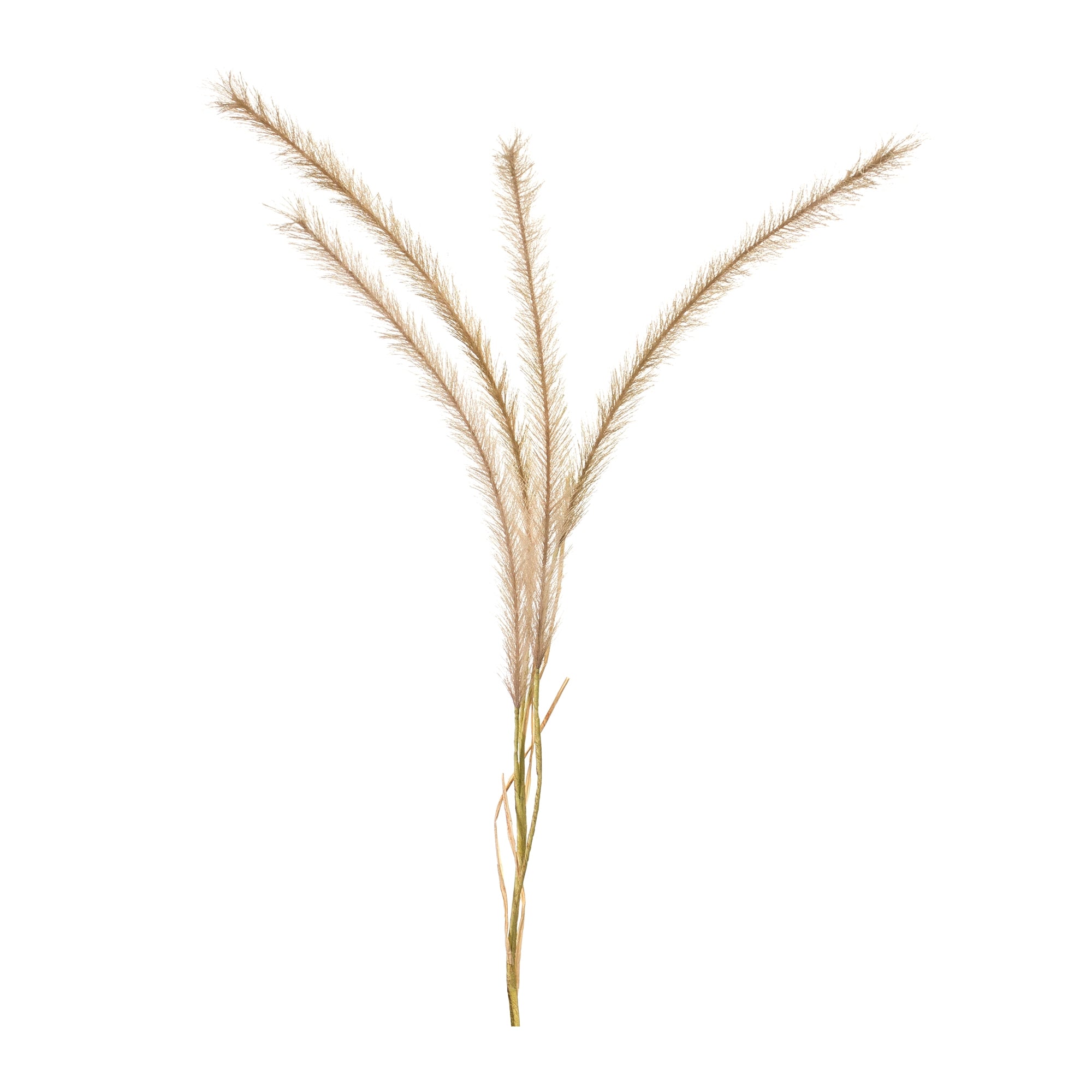 Fox Tail Stem 50”H Polyester