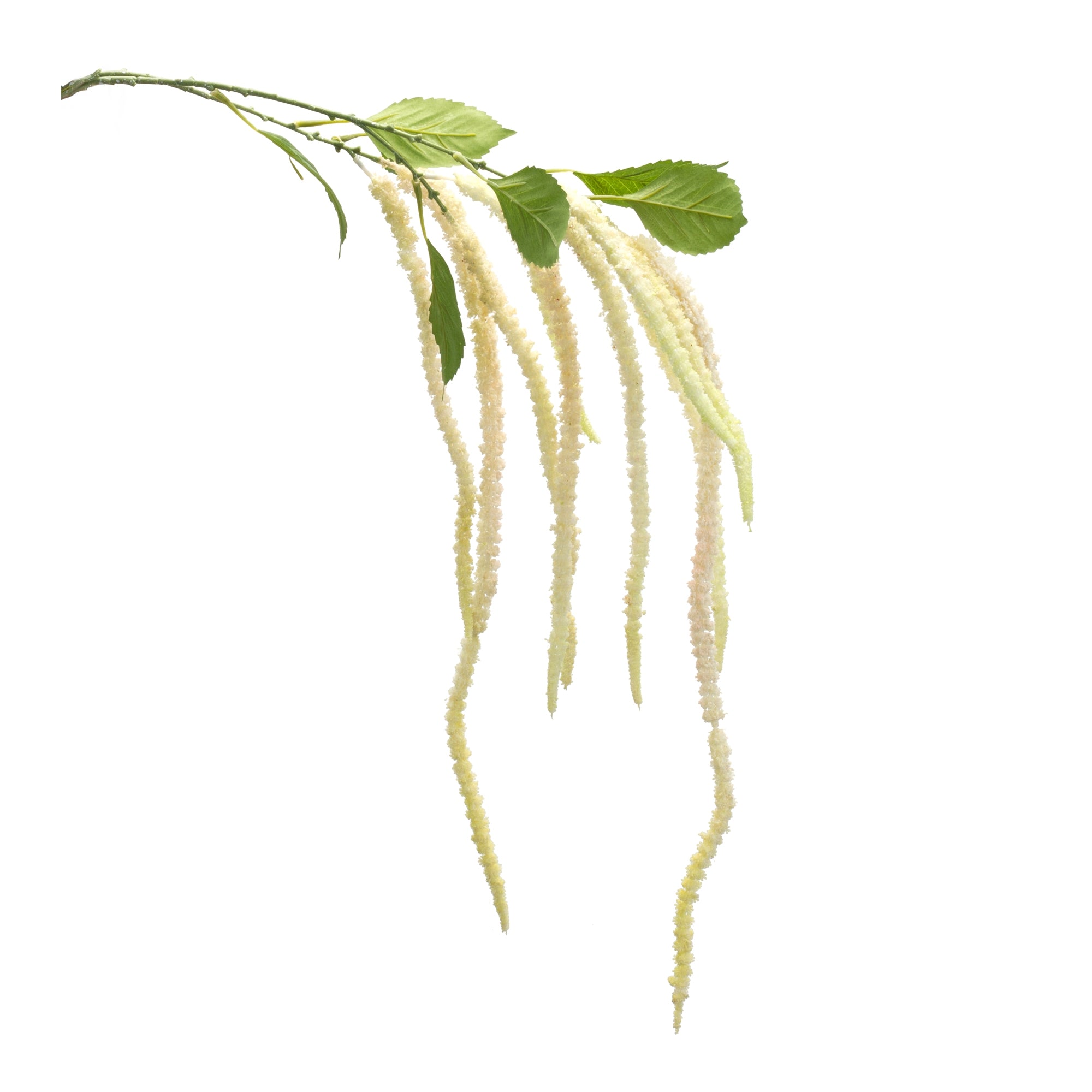 Amaranthus Stem 53.25”H /Polyester