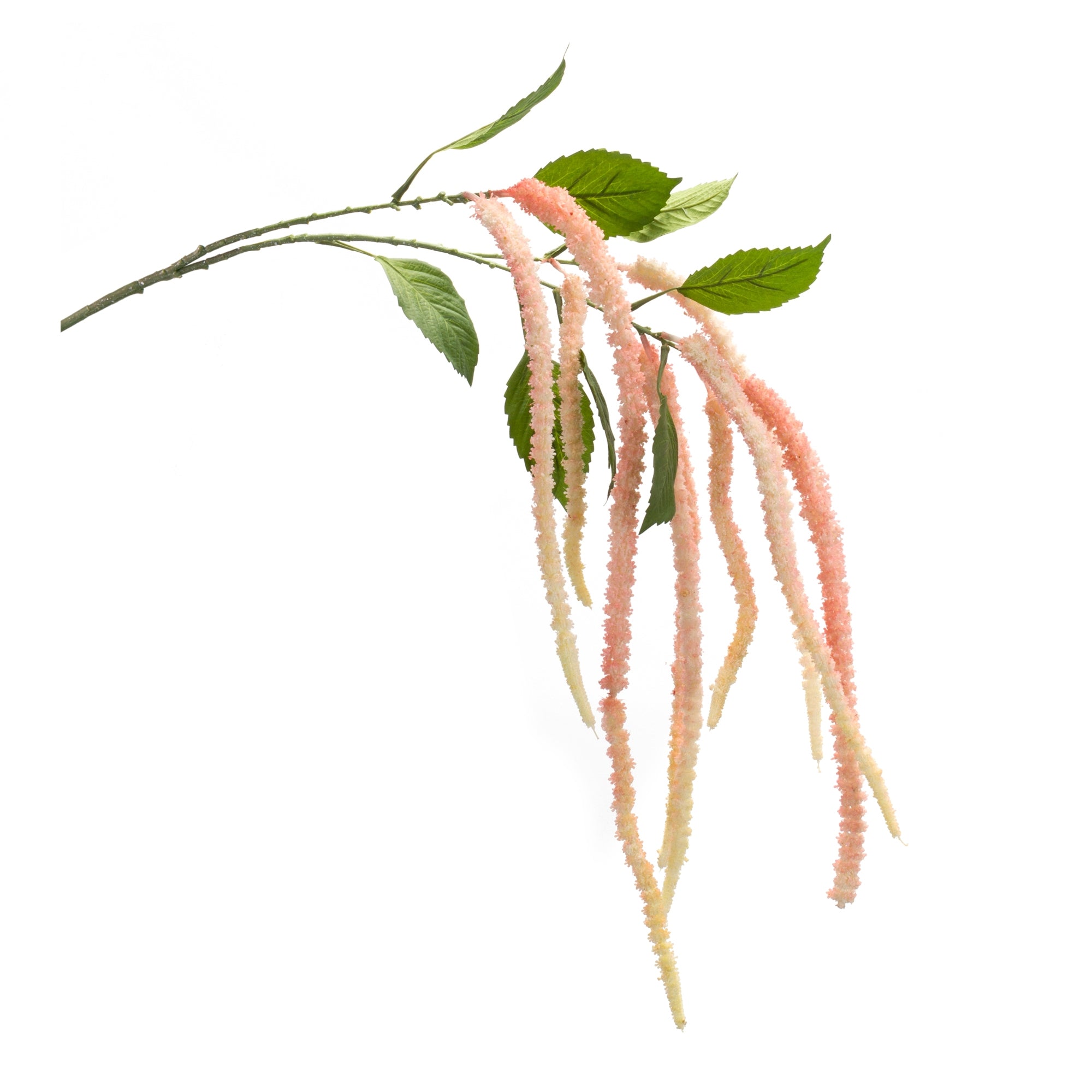 Amaranthus Stem 53.25”H /Polyester