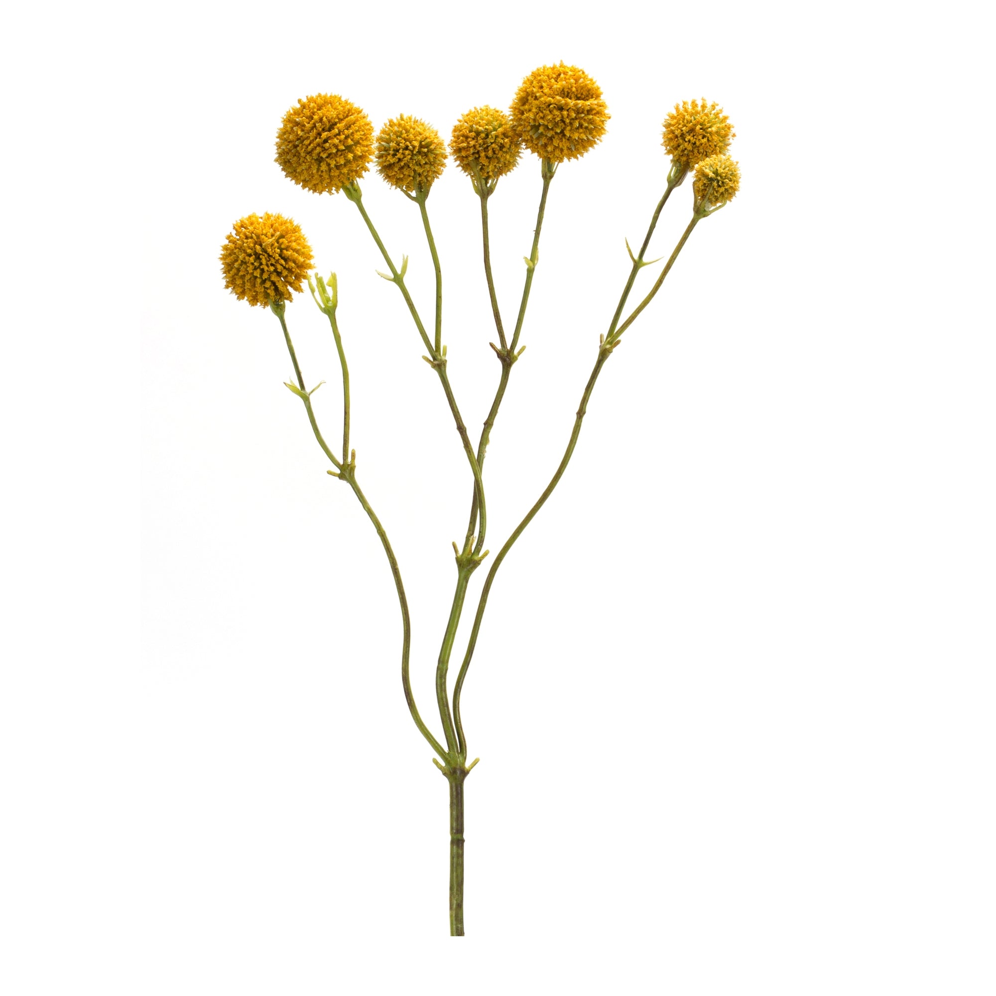 Pod Spray 20”H