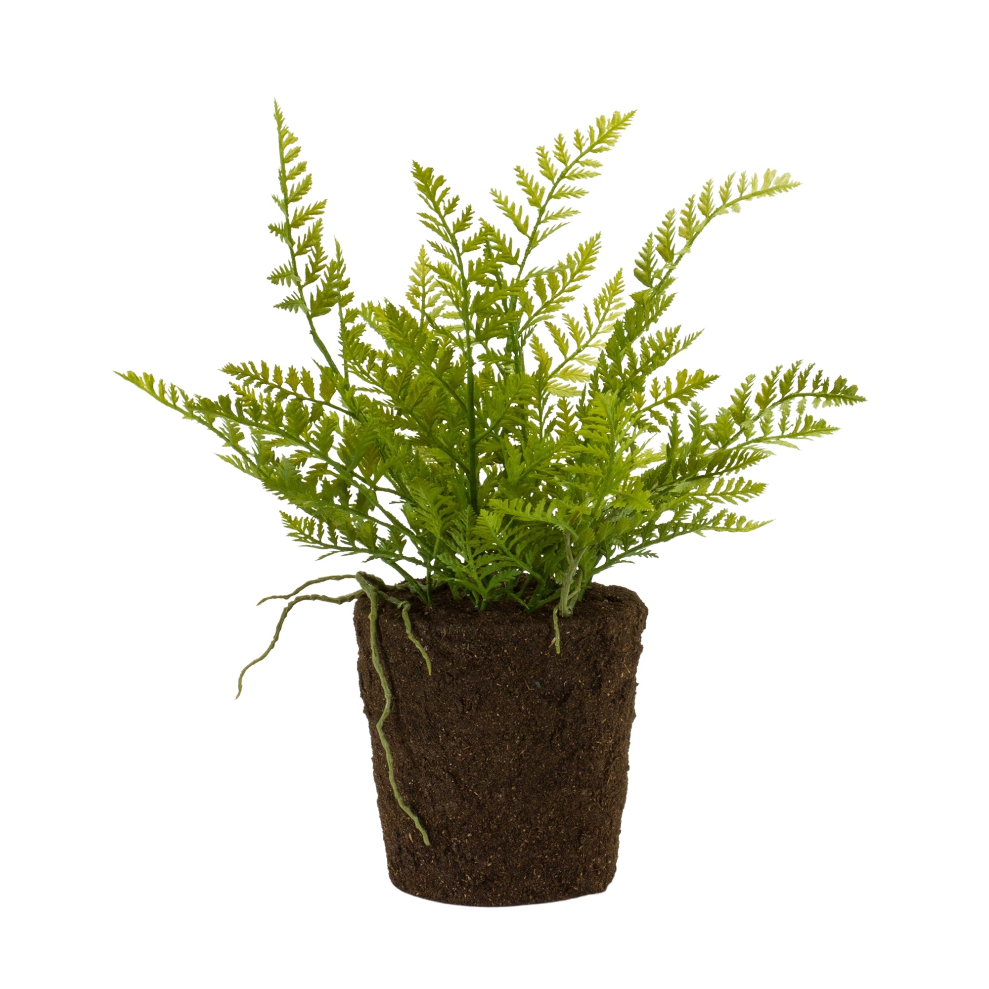 Potted Fern Bush 15”H