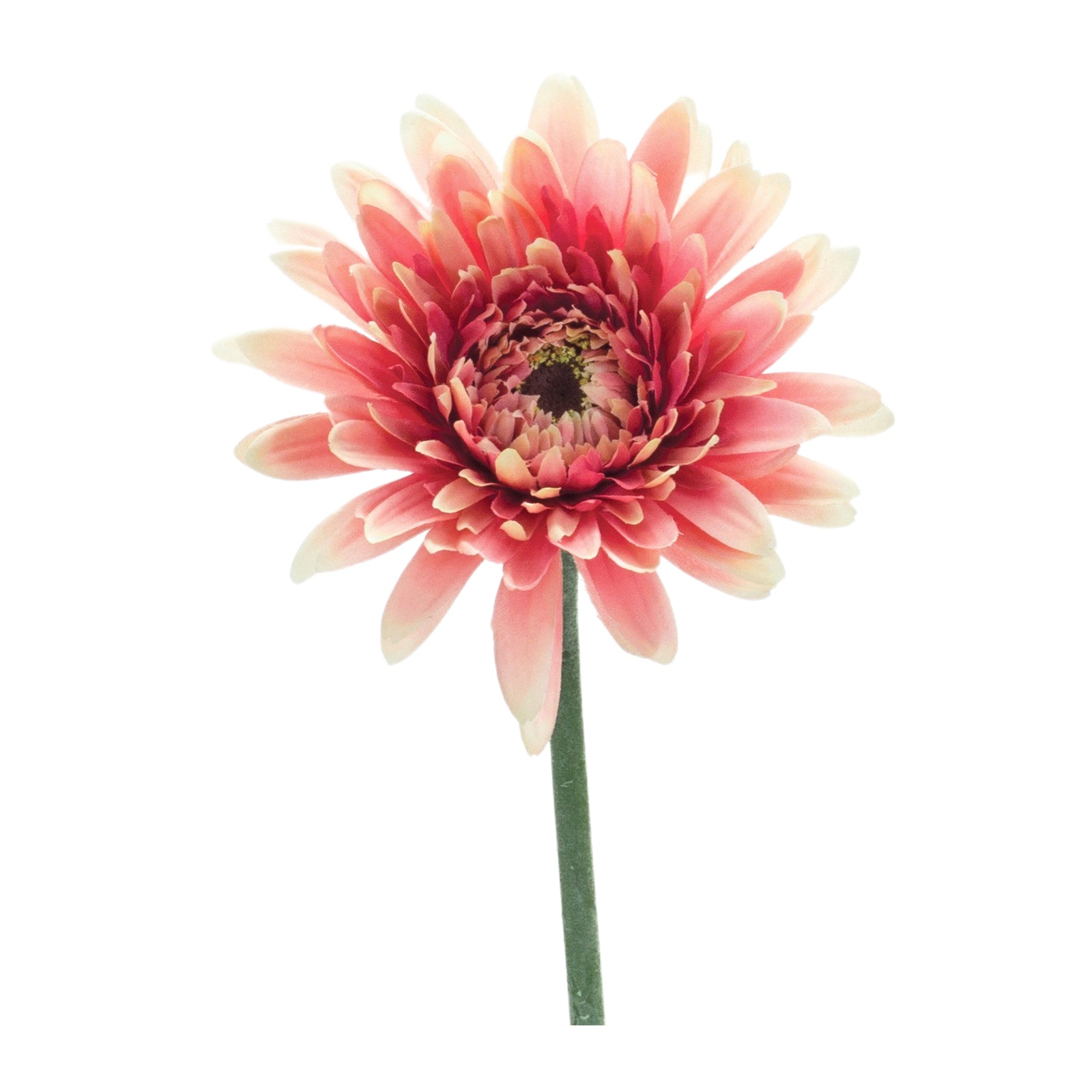 Gerbera Daisy Stem 22”H Polyester