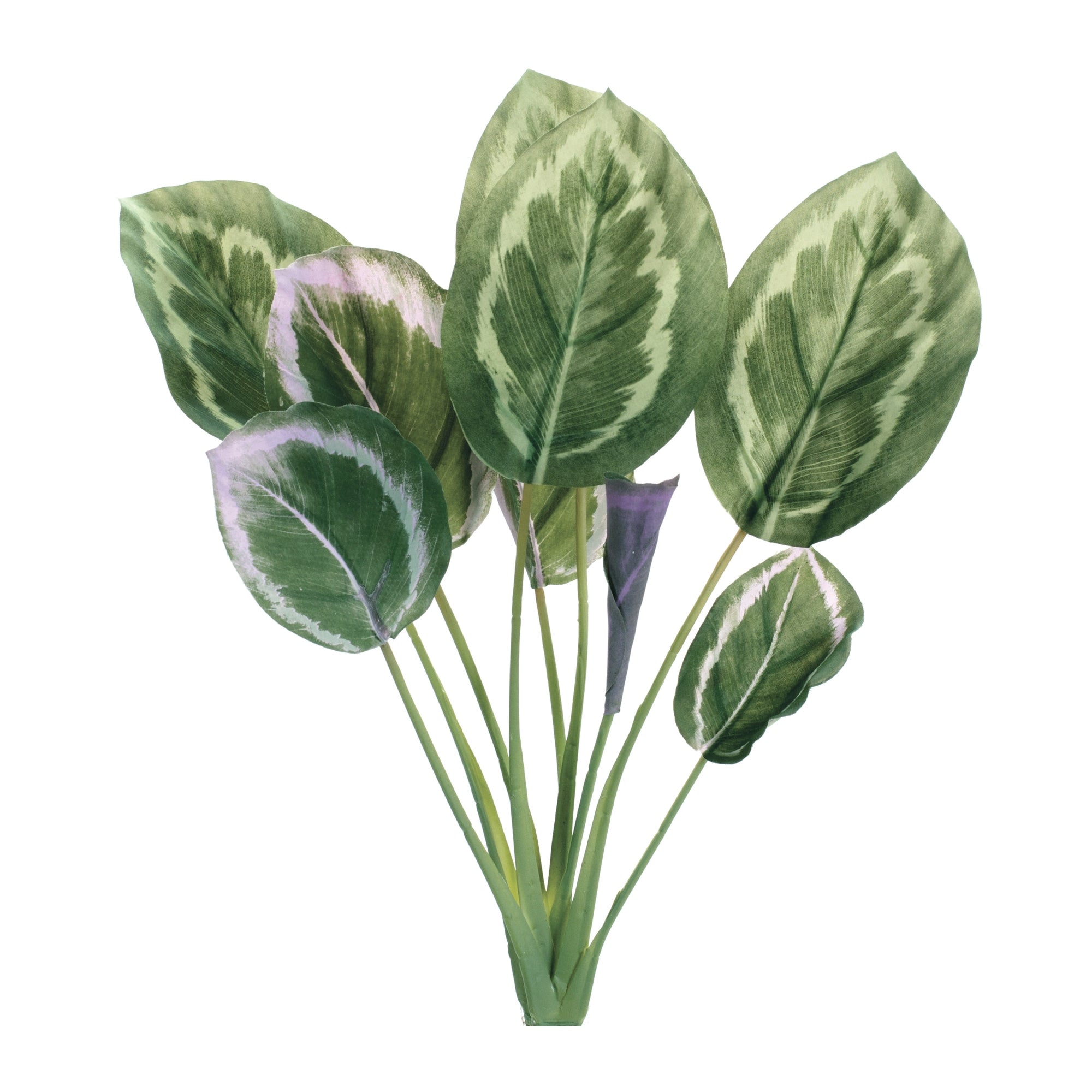 Prayer Plant 21.5”H Polyester