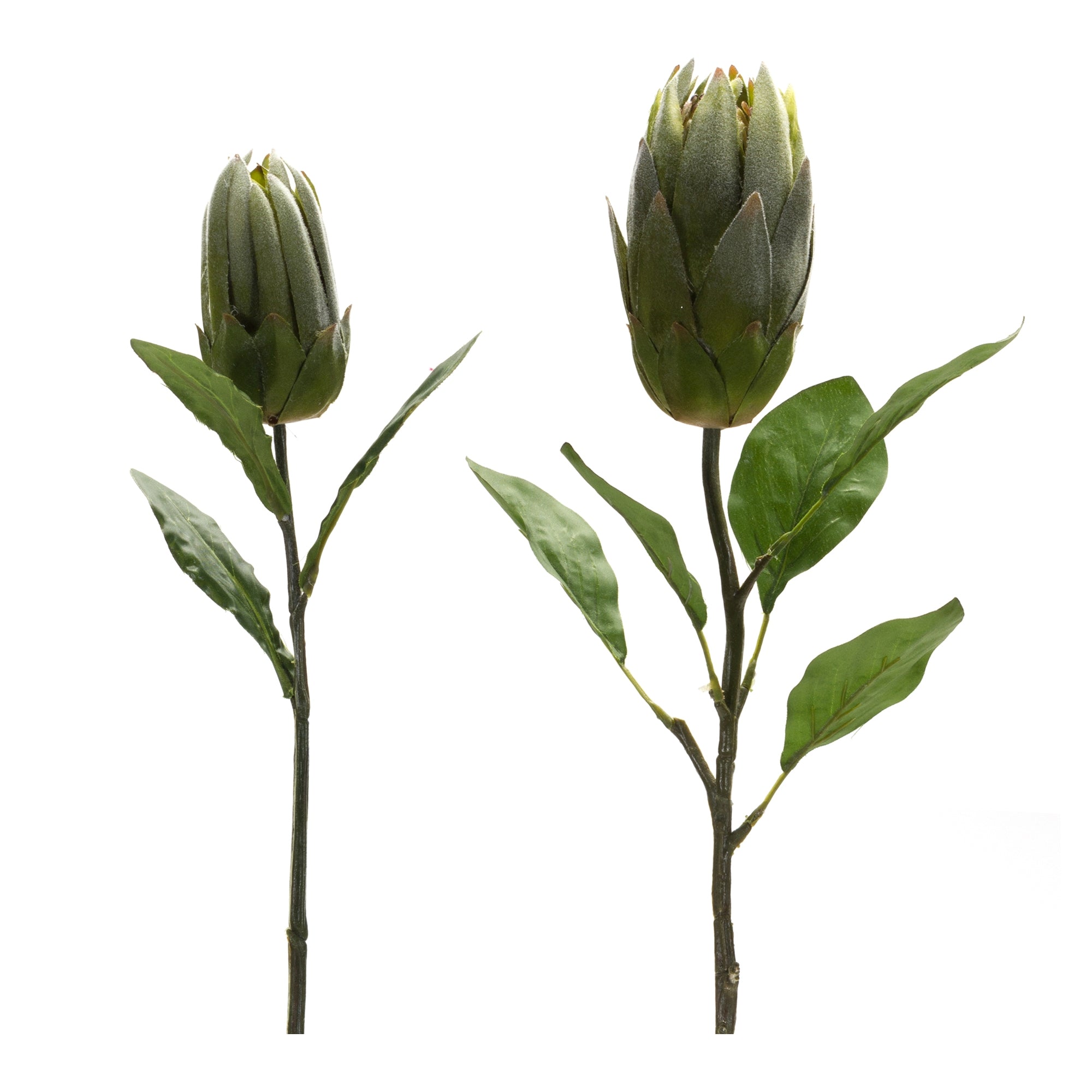 Protea Stem (Set of 2) 20"H, 26.5"H Polyester