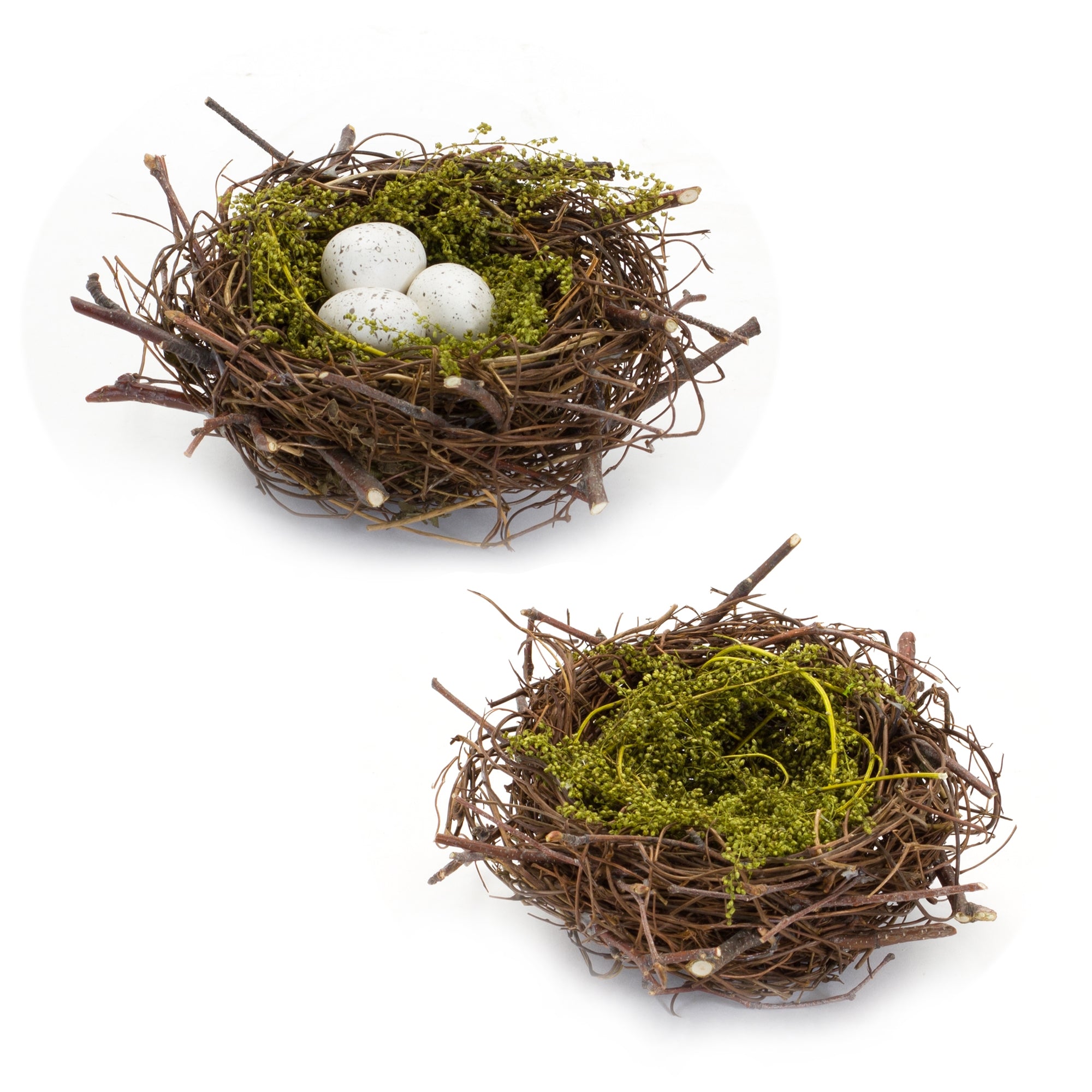 Nest and Nest with Eggs (2 Asst) 6.5"D x 3"H Natural/Foam
