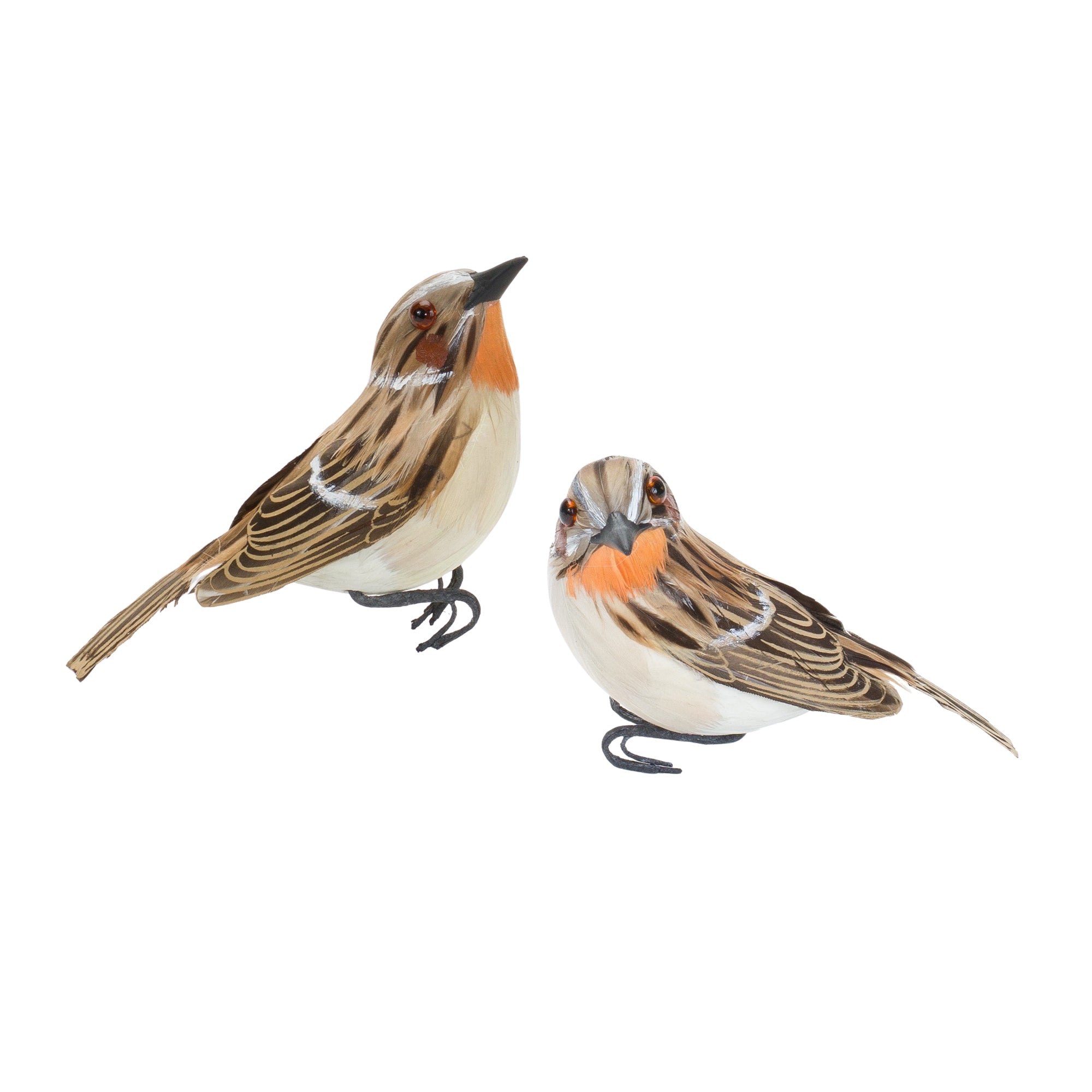 Bird (2 Asst) 3"H, 3.5"H Foam/Feather