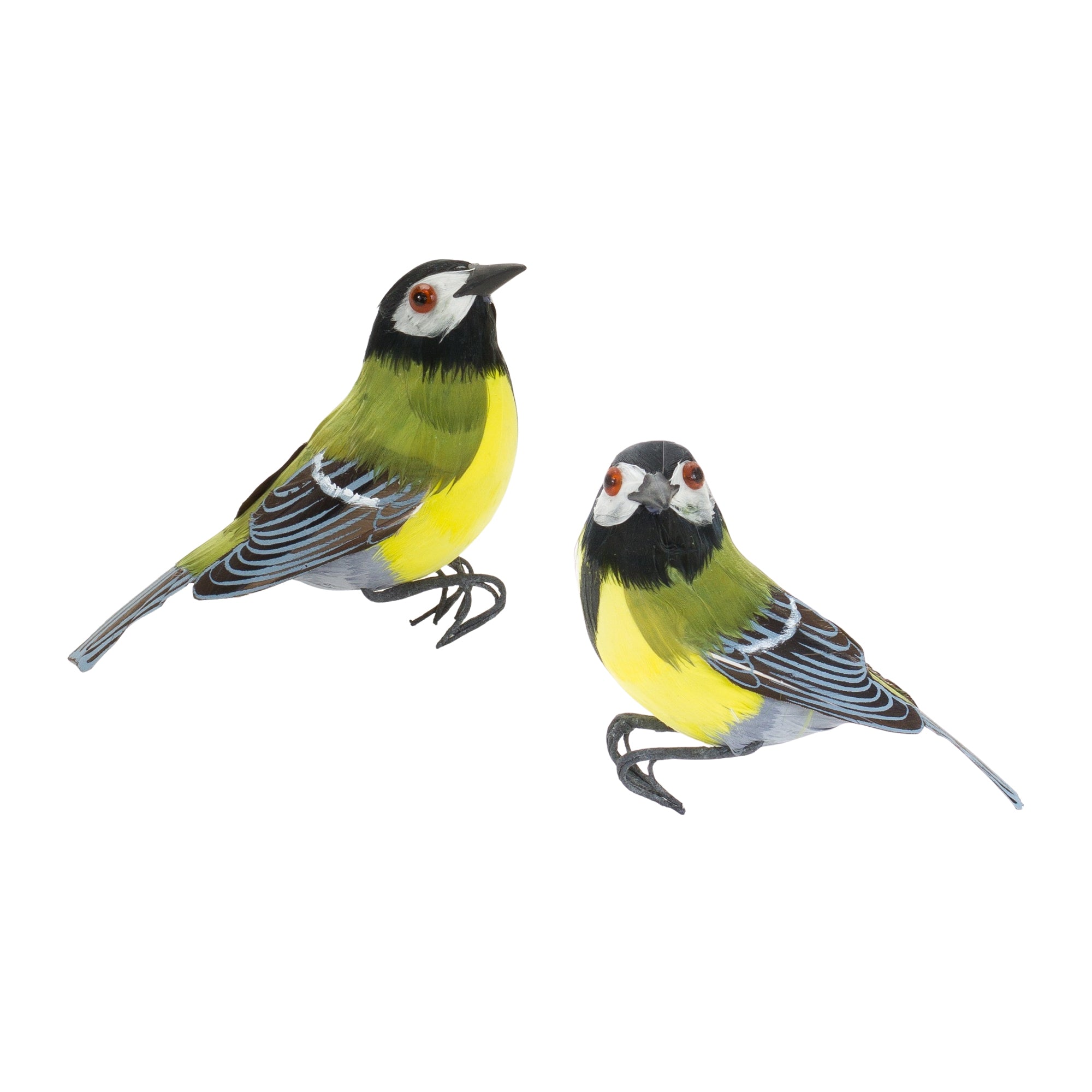 Bird (2 Asst) 3"H, 3.5"H Foam/Feather