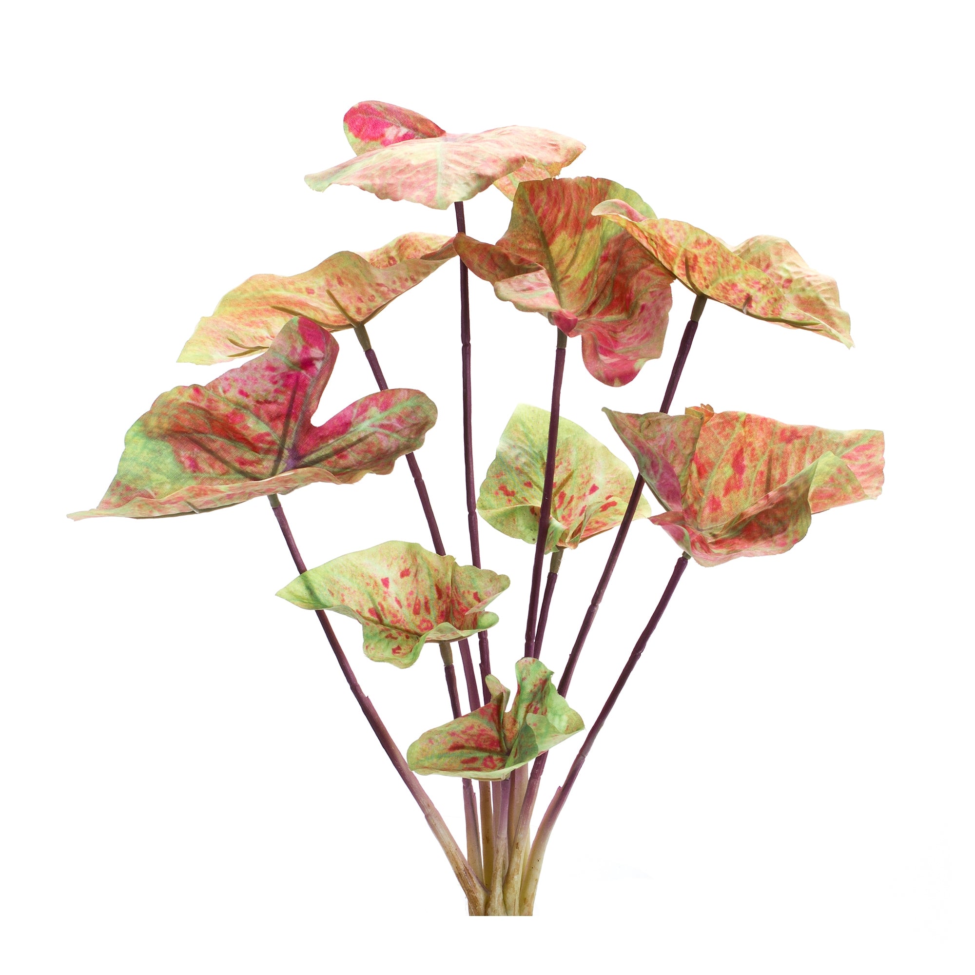 Caladium Bush 18.5”H Polyester