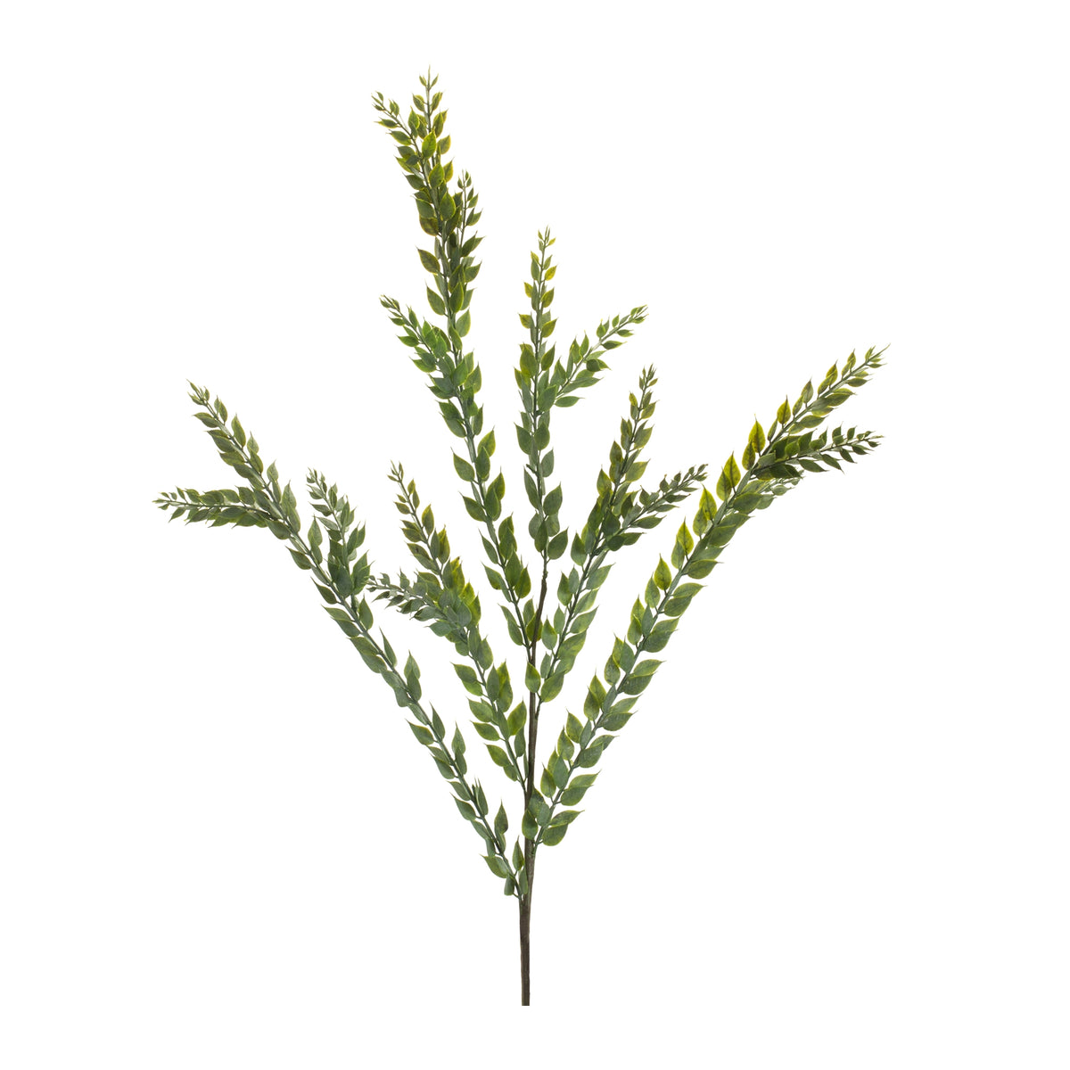 Knife Blade Eucalyptus Spray (Set of 6) 40"H Plastic