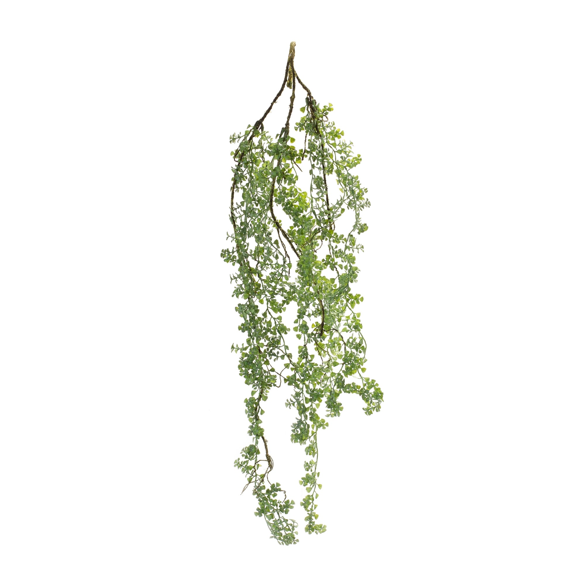 Hanging Mini Leaf Vine 33”L