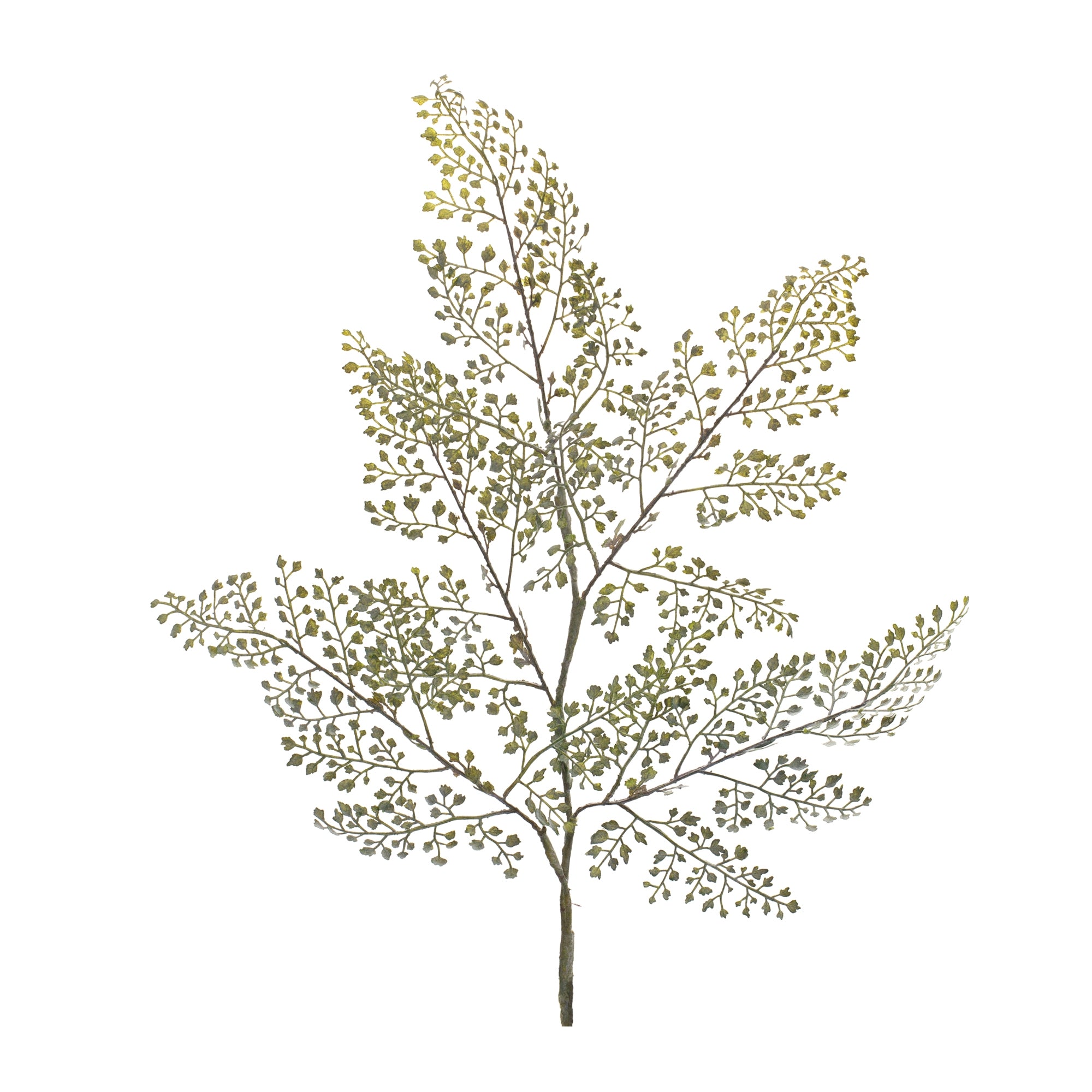 Maiden Hair Fern Spray 30.5”H