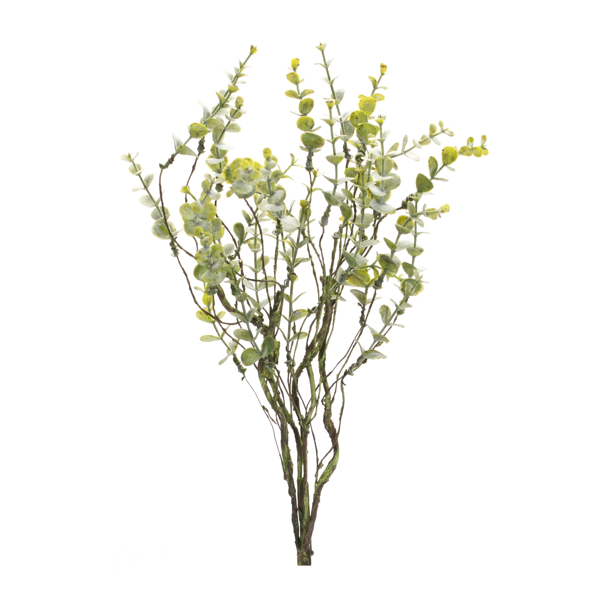 Boxwood Spray 18”H