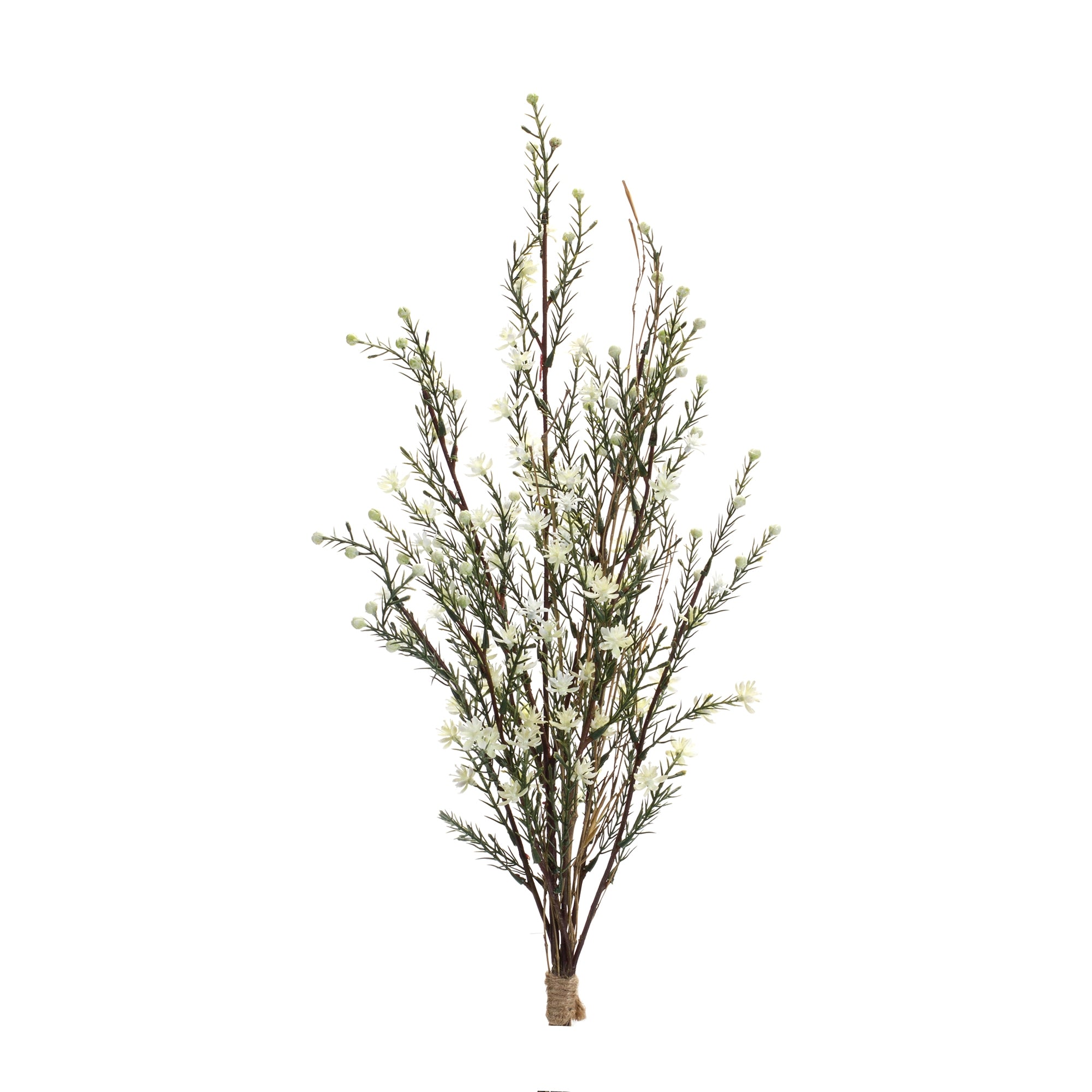 Leptospermum Bundle 26.25”H