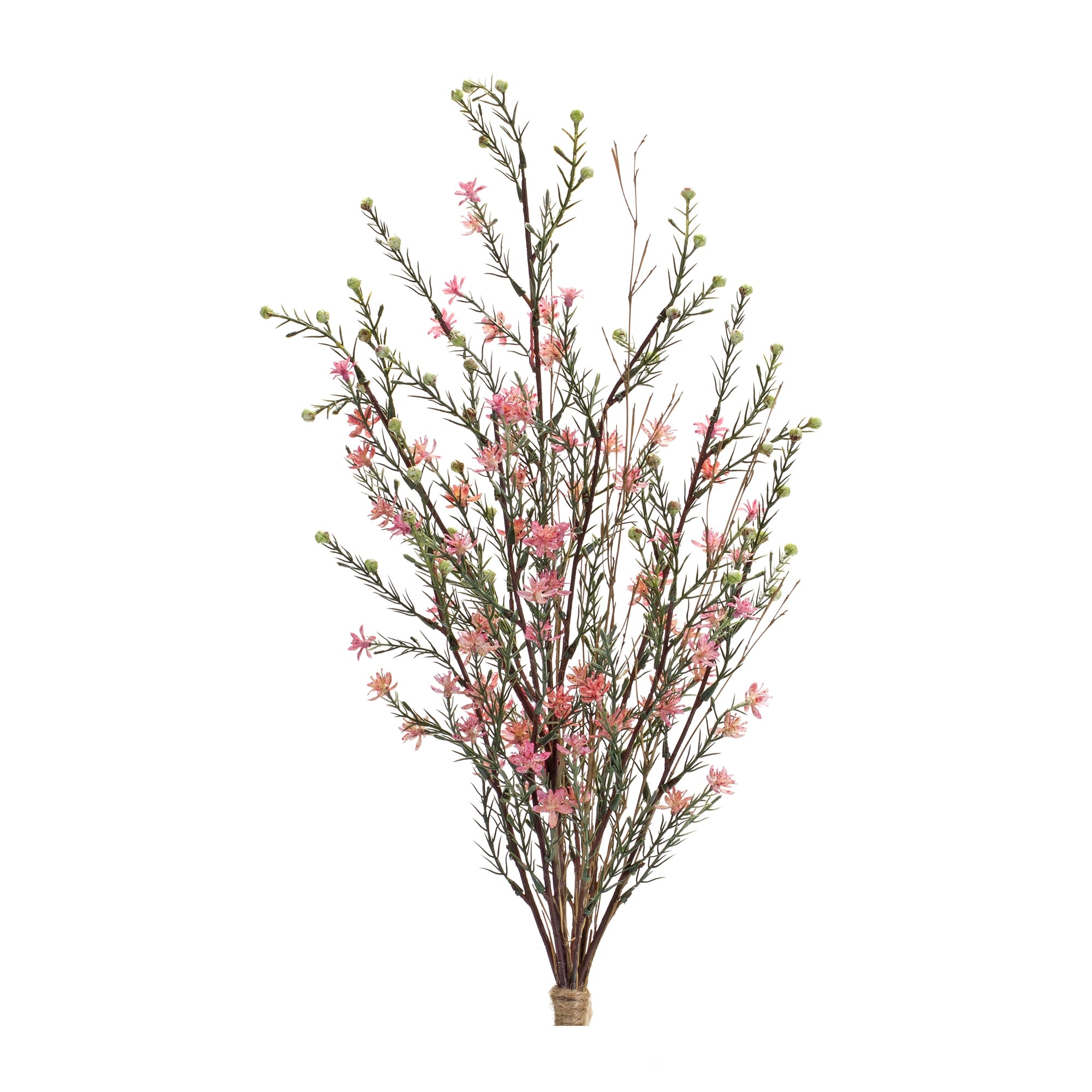 Leptospermum Bundle 26.25”H