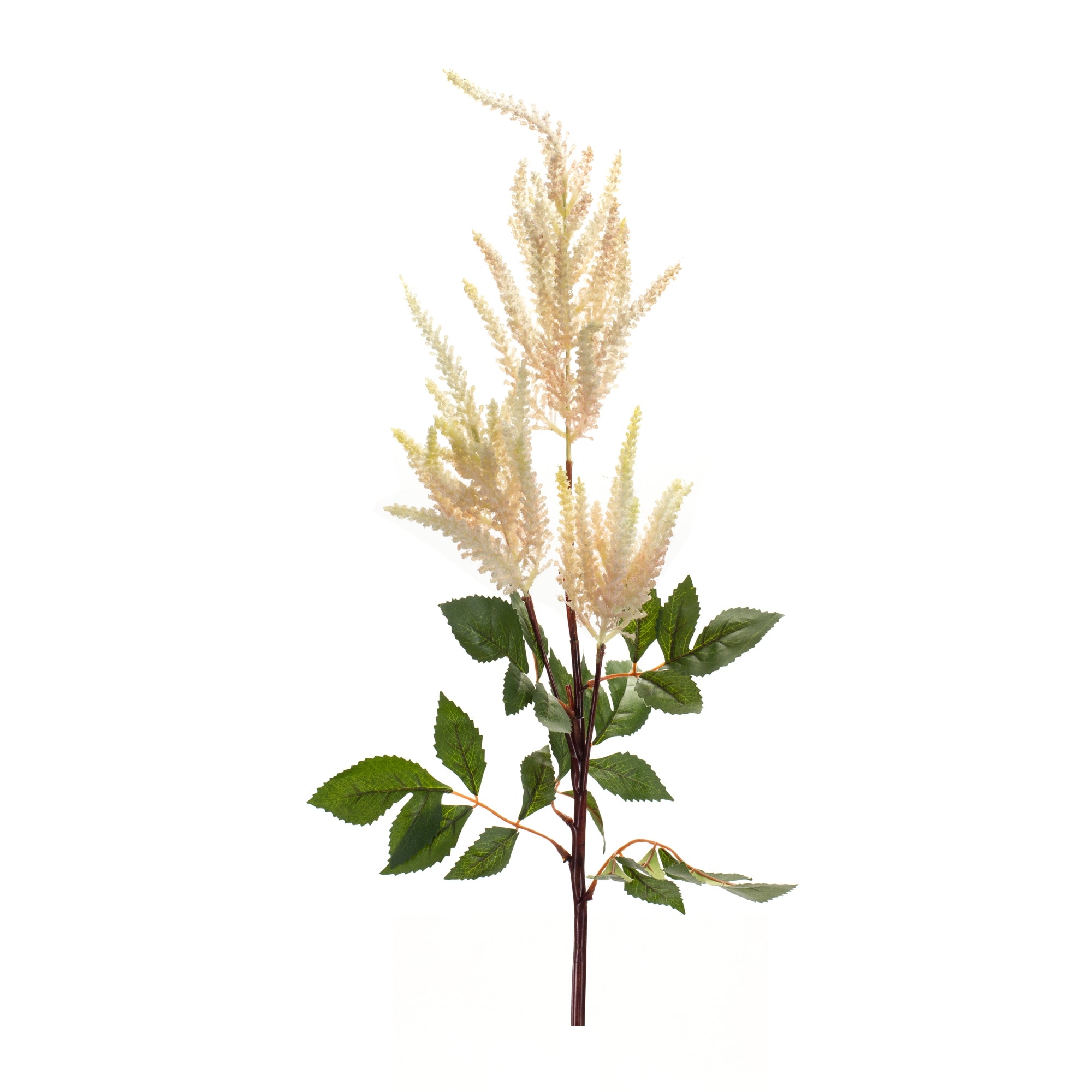 Astilbe Spray 39”H /Flocking