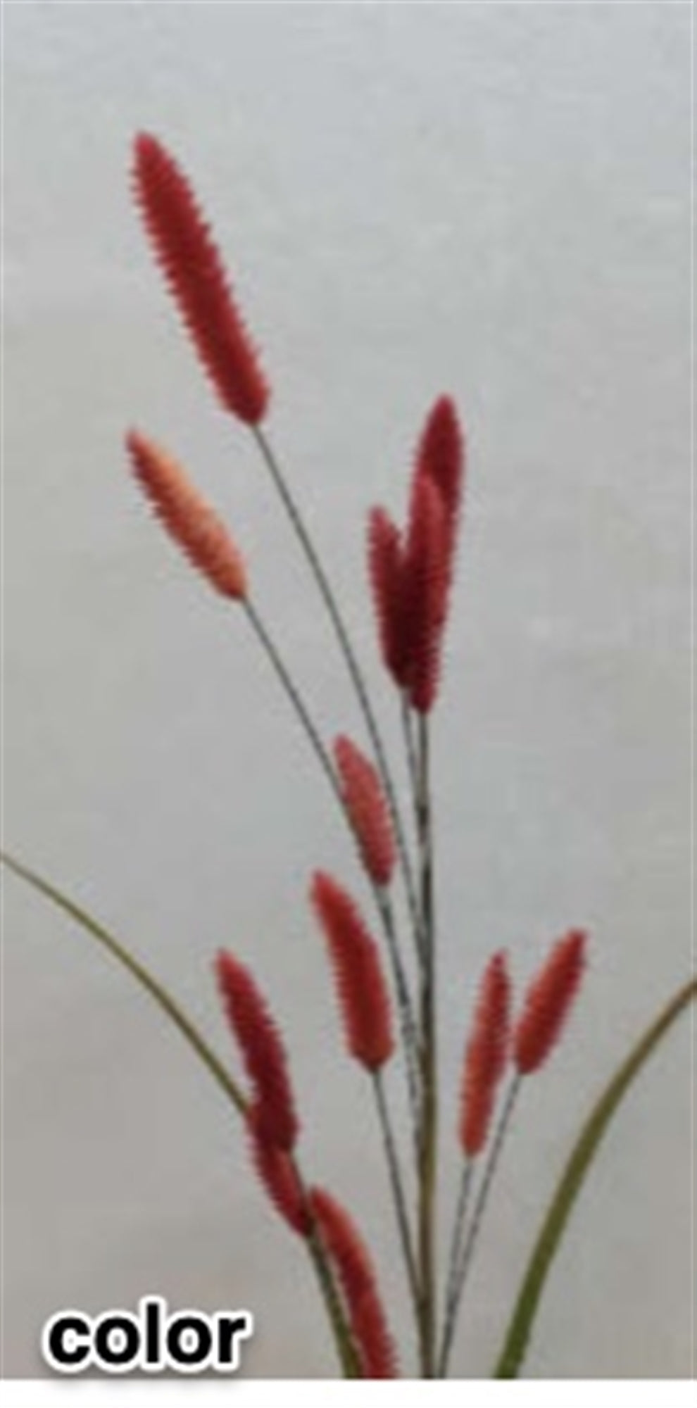 Bunny Tail Spray 23”H /Flocking