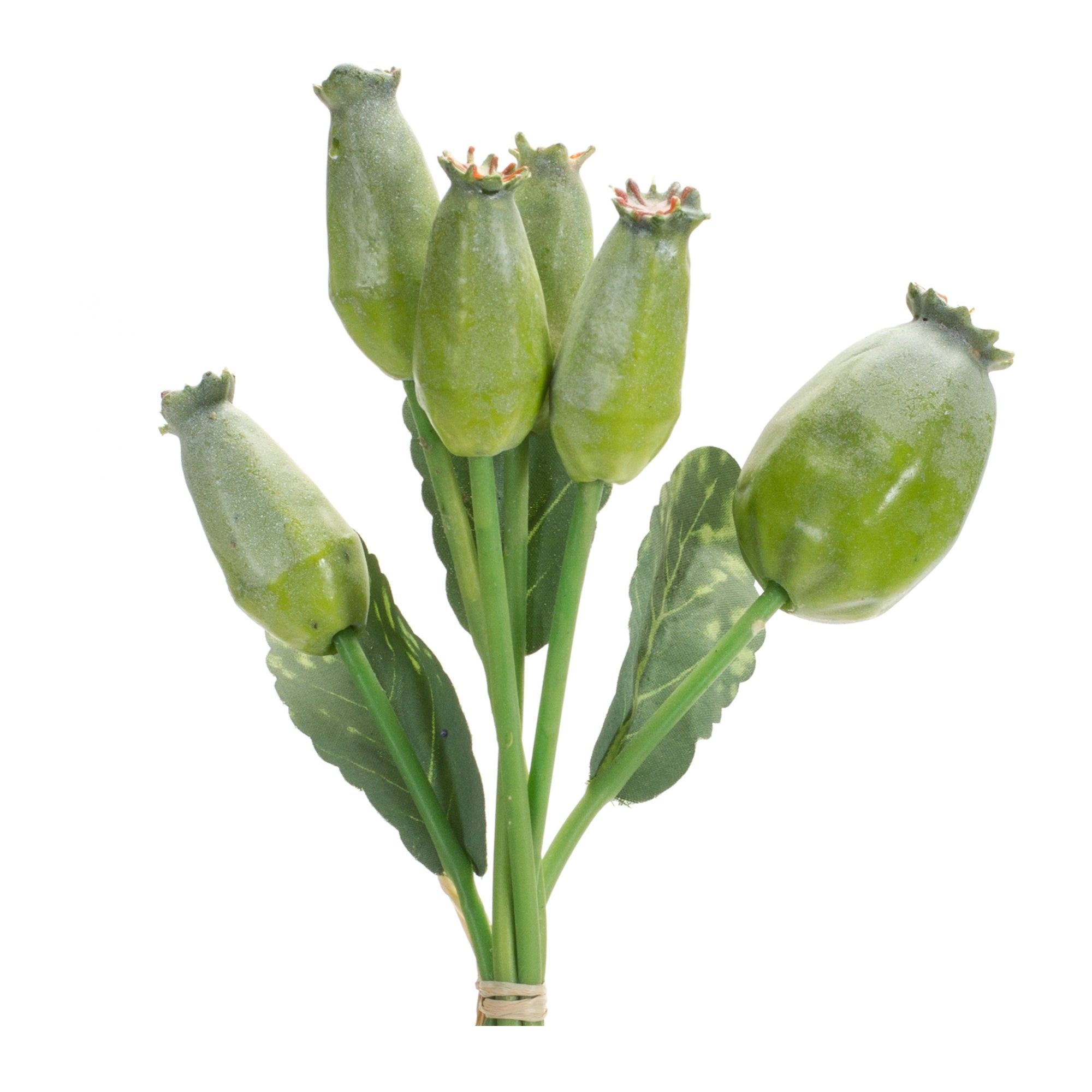 Poppy Pod Bundle 9.5”H Foam/