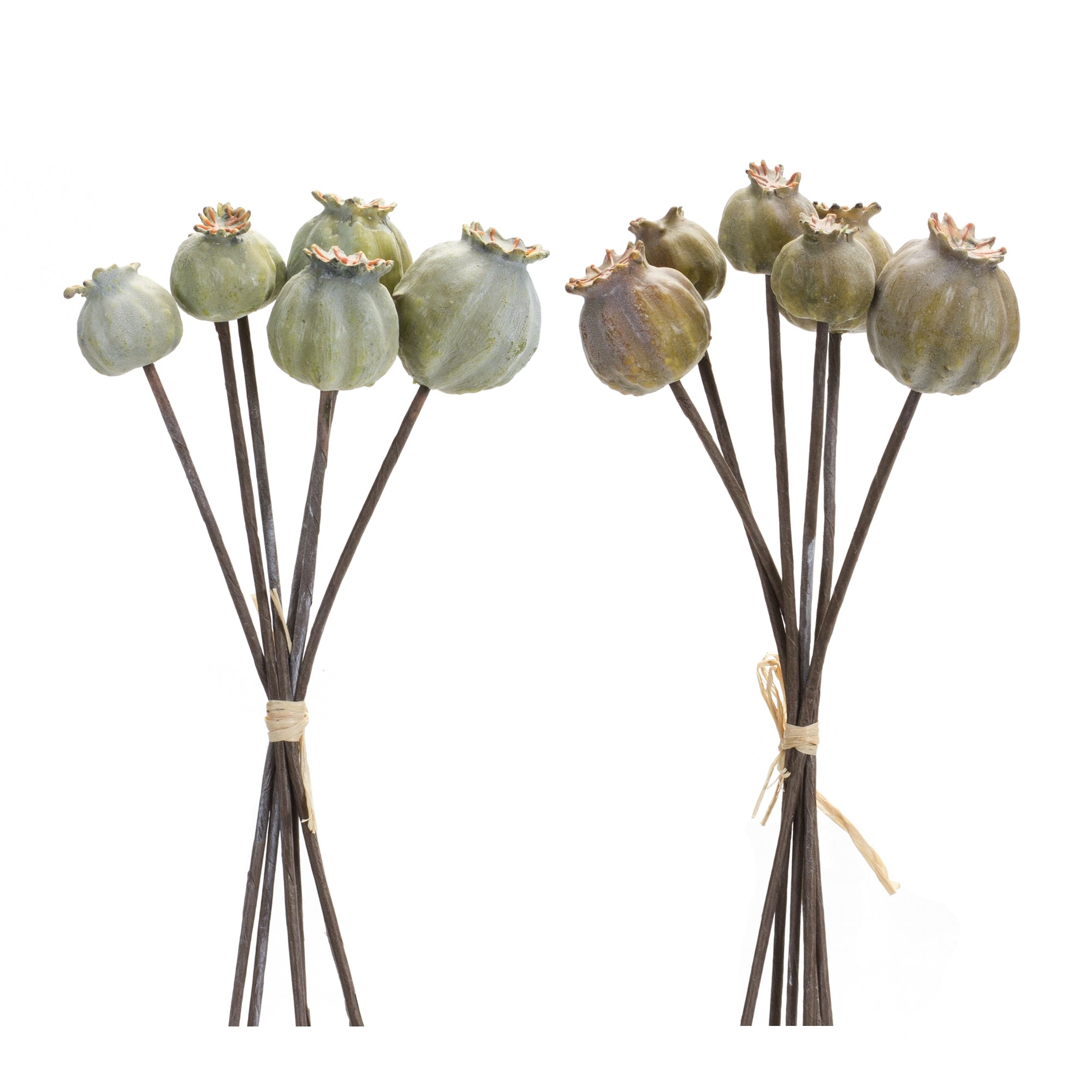 Poppy Pod Bundle (2 set of) 10.5”H Foam/