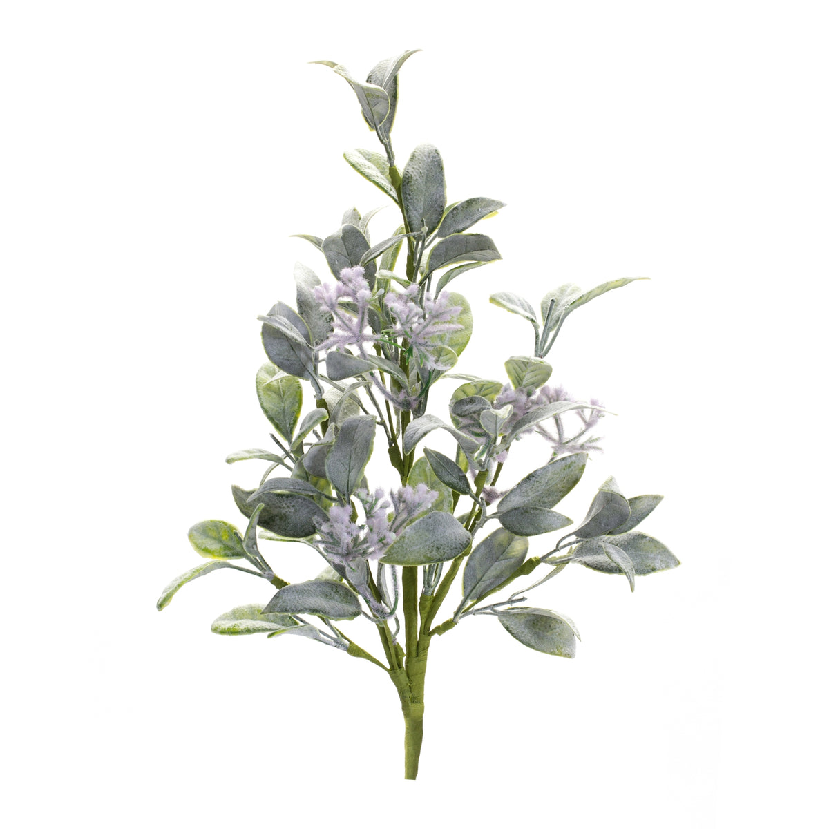 Lambs Ear Foliage Spray